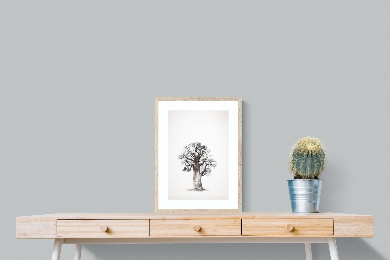 Baobab Legacy #5-Wall_Art-45 x 60cm-Framed Print-Wood-Pixalot