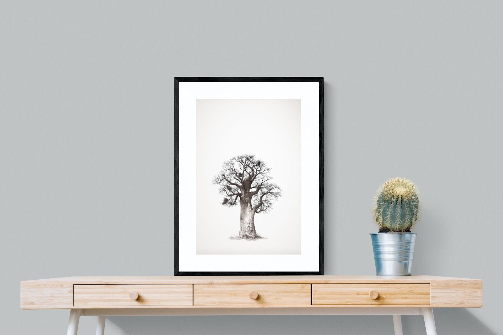 Baobab Legacy #5-Wall_Art-60 x 80cm-Framed Print-Black-Pixalot