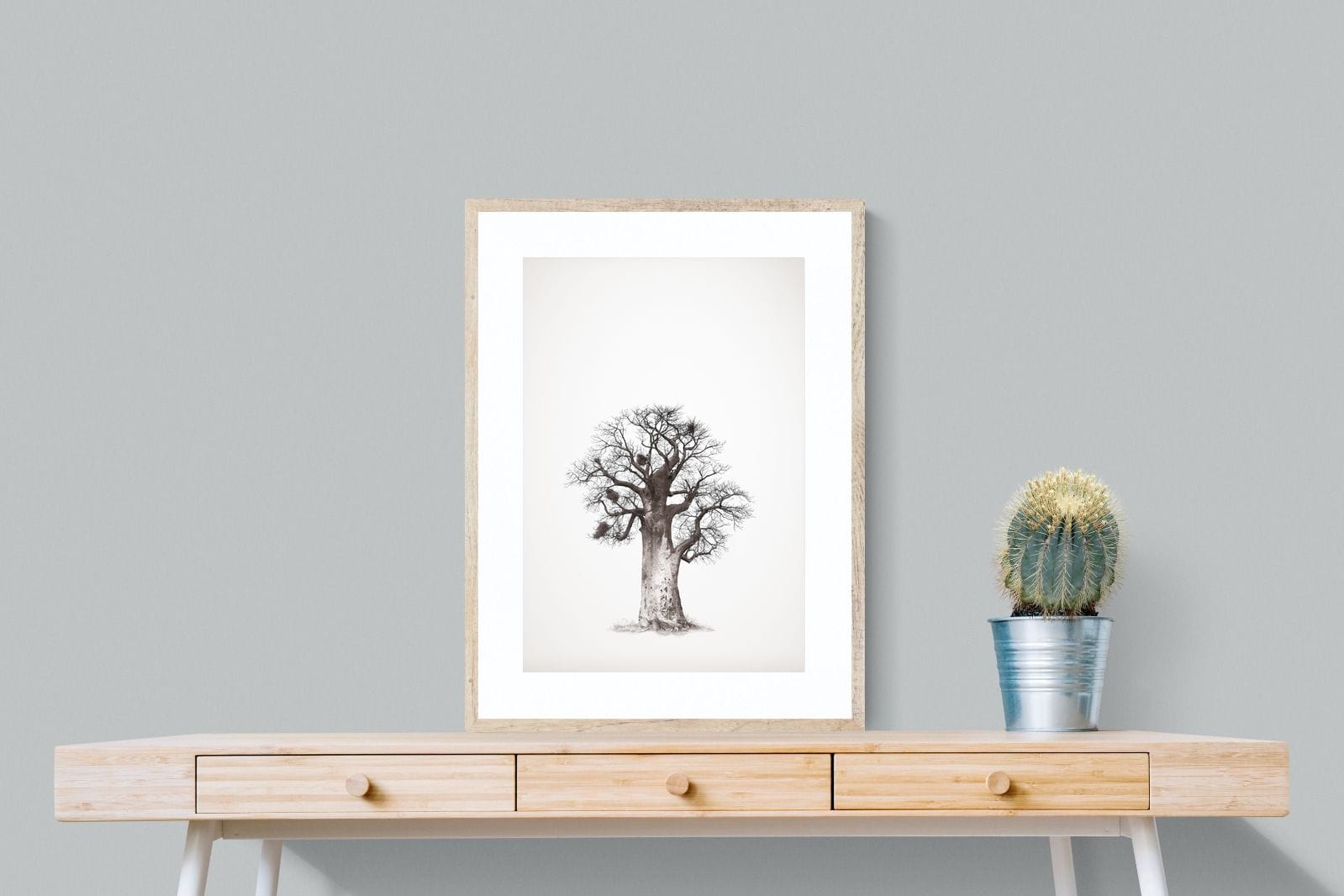 Baobab Legacy #5-Wall_Art-60 x 80cm-Framed Print-Wood-Pixalot