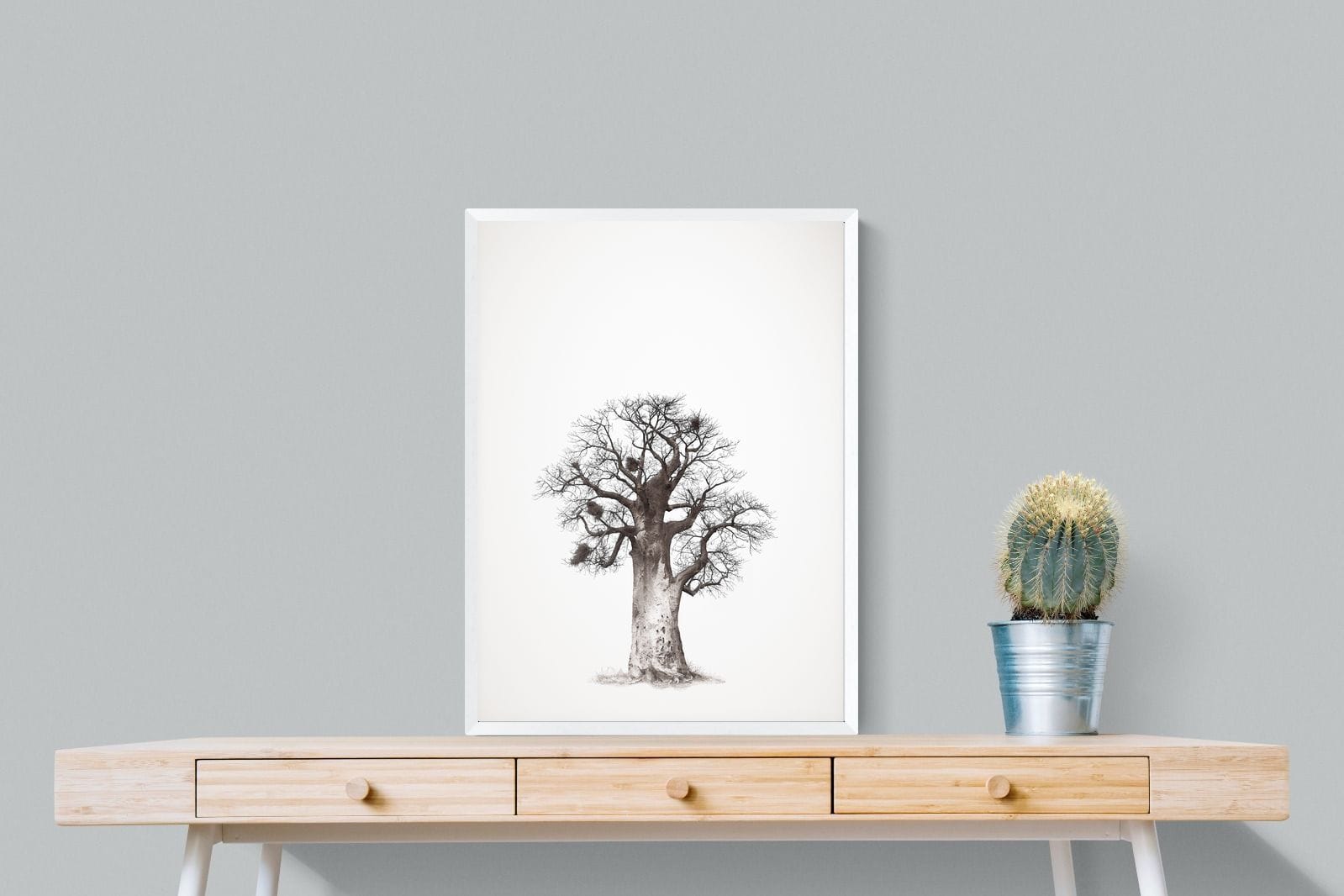 Baobab Legacy #5-Wall_Art-60 x 80cm-Mounted Canvas-White-Pixalot