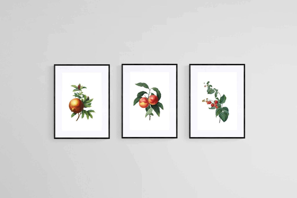 Belles Fleurs Colorés-Wall_Art-45 x 60cm (x3)-Framed Print-Black-Pixalot