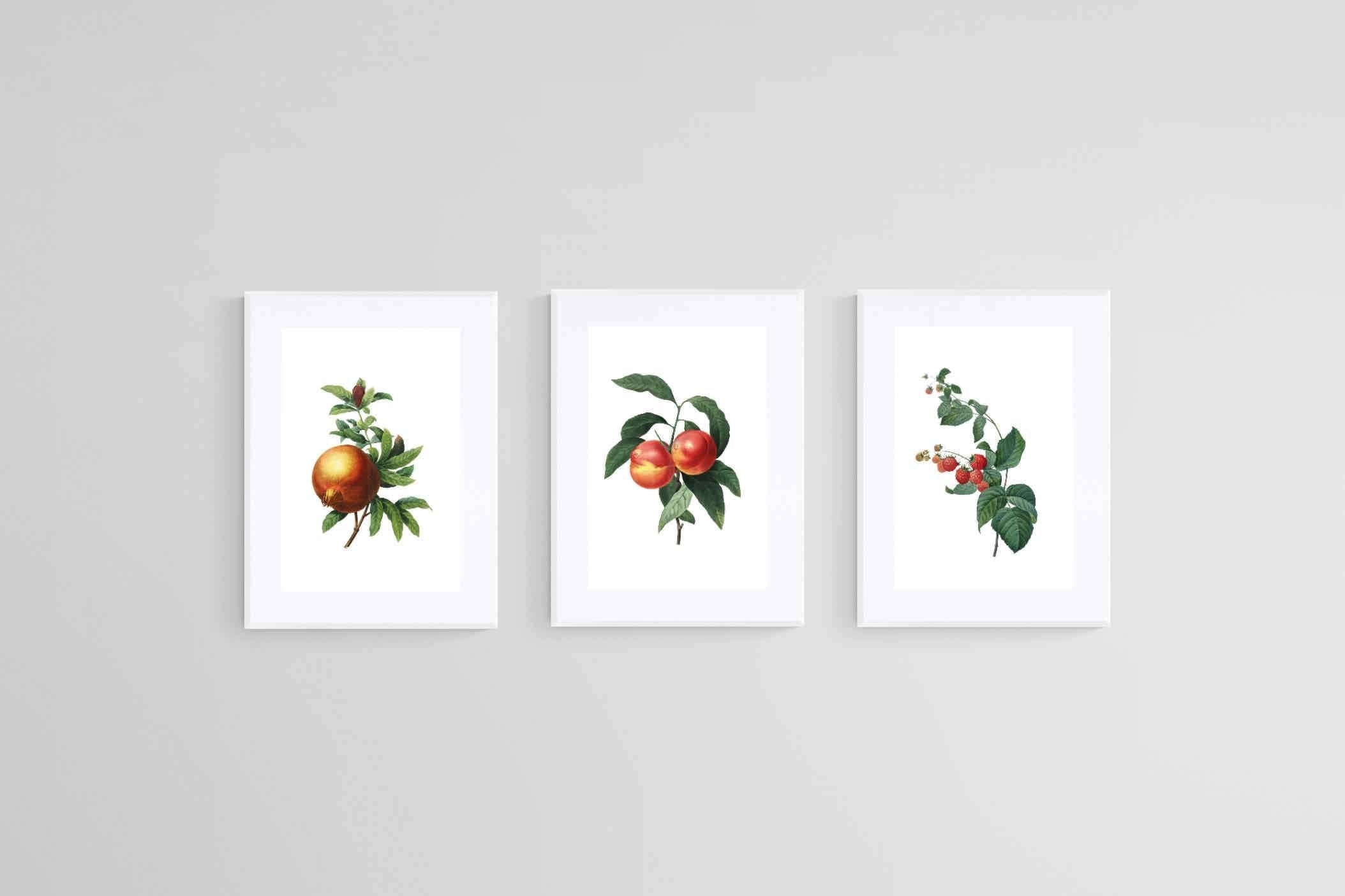 Belles Fleurs Colorés-Wall_Art-45 x 60cm (x3)-Framed Print-White-Pixalot