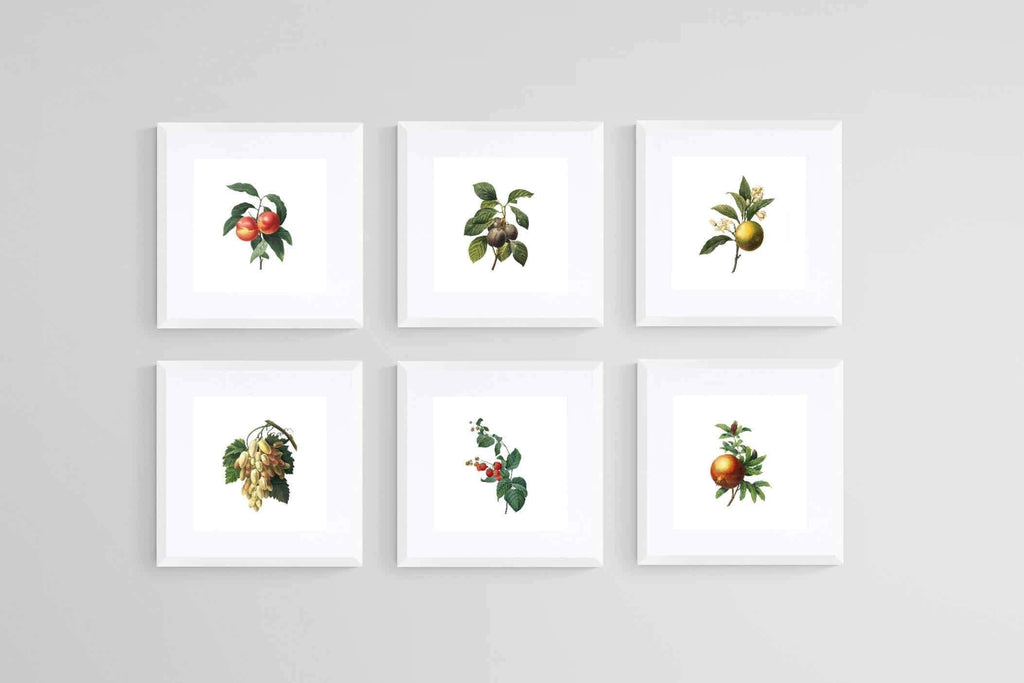 Belles Fleurs-Wall_Art-30 x 30cm (x6)-Framed Print-White-Pixalot