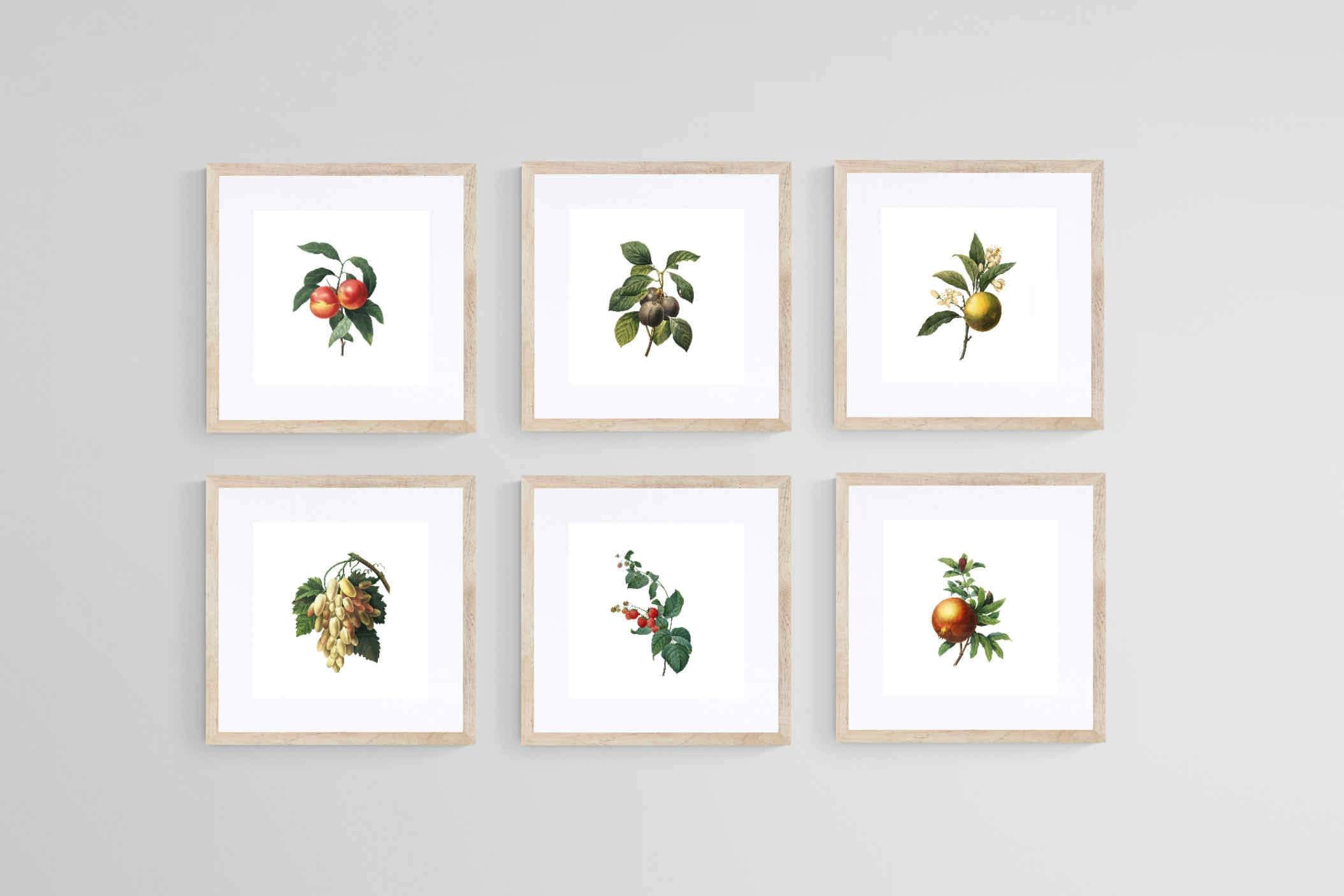 Belles Fleurs-Wall_Art-30 x 30cm (x6)-Framed Print-Wood-Pixalot