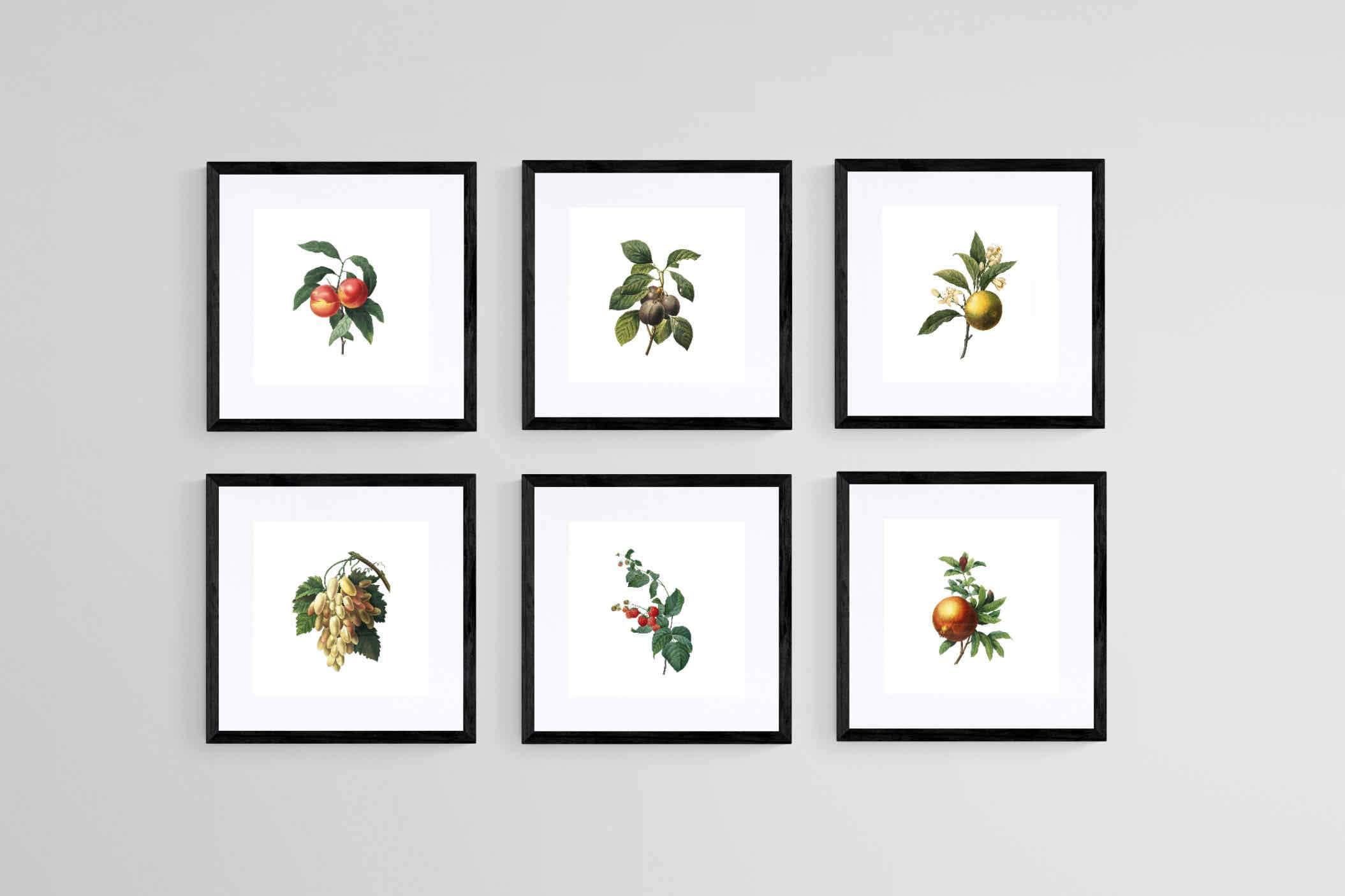 Belles Fleurs-Wall_Art-30 x 30cm (x6)-Framed Print-Black-Pixalot