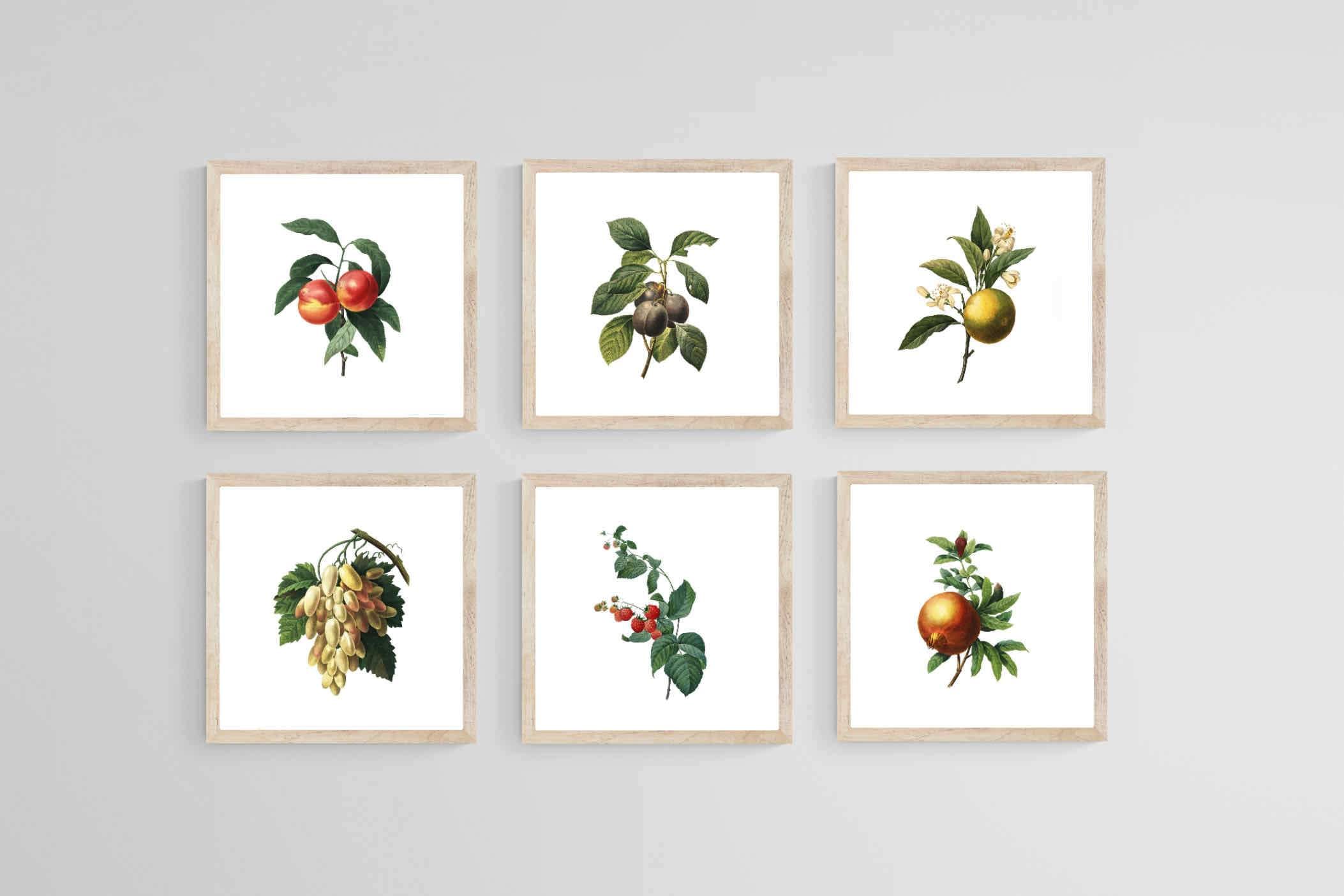 Belles Fleurs-Wall_Art-30 x 30cm (x6)-Mounted Canvas-Wood-Pixalot