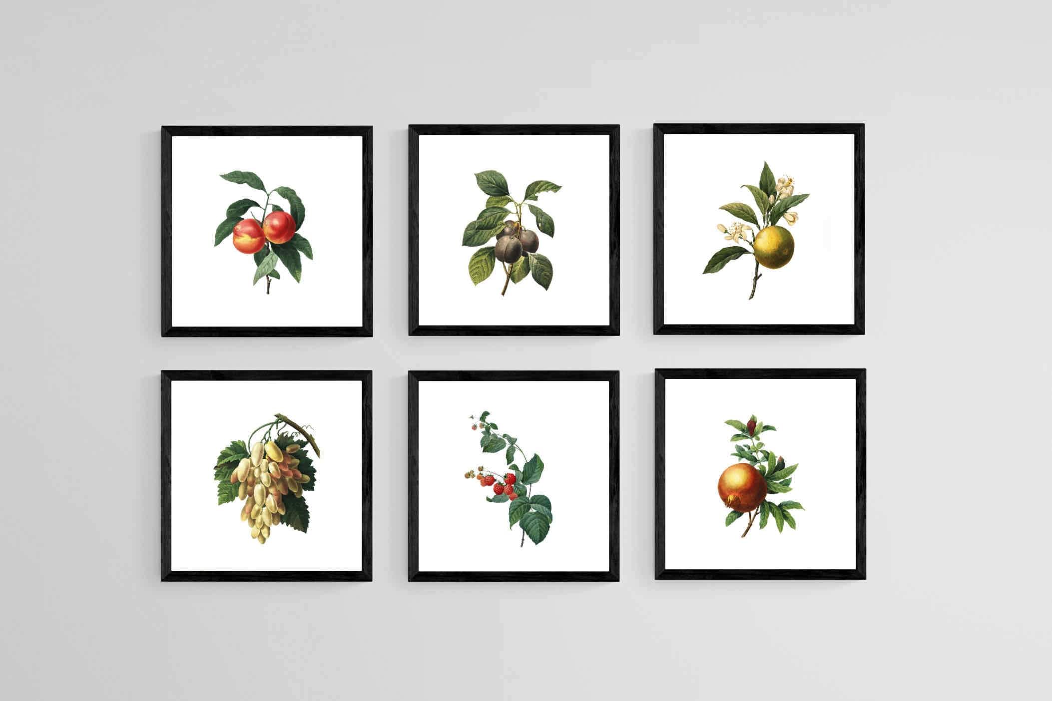 Belles Fleurs-Wall_Art-30 x 30cm (x6)-Mounted Canvas-Black-Pixalot