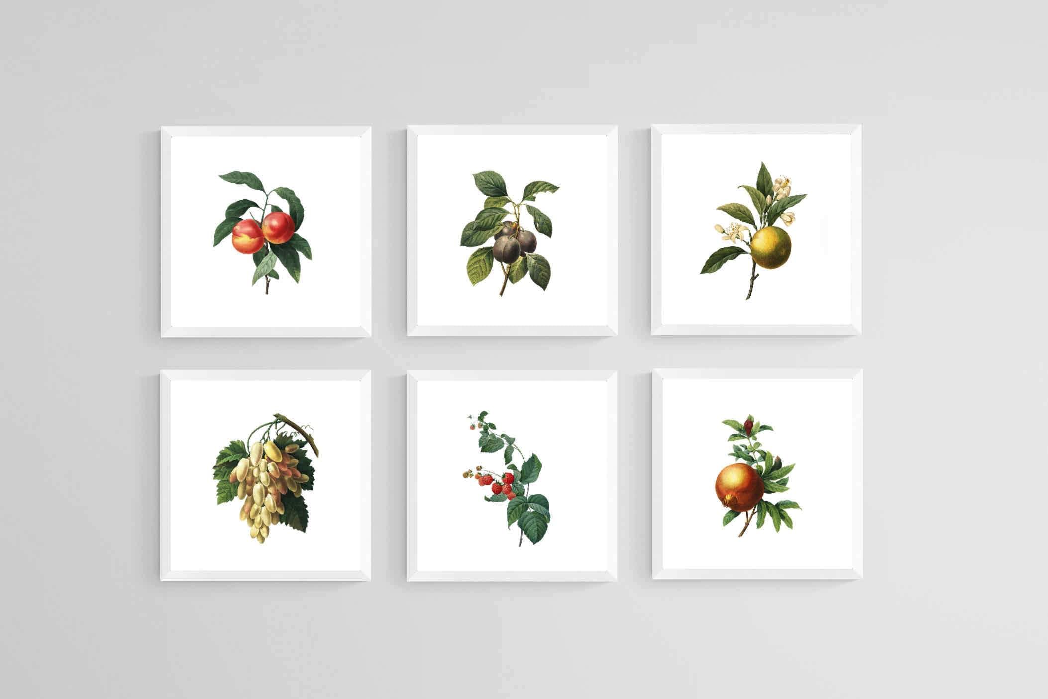 Belles Fleurs-Wall_Art-30 x 30cm (x6)-Mounted Canvas-White-Pixalot