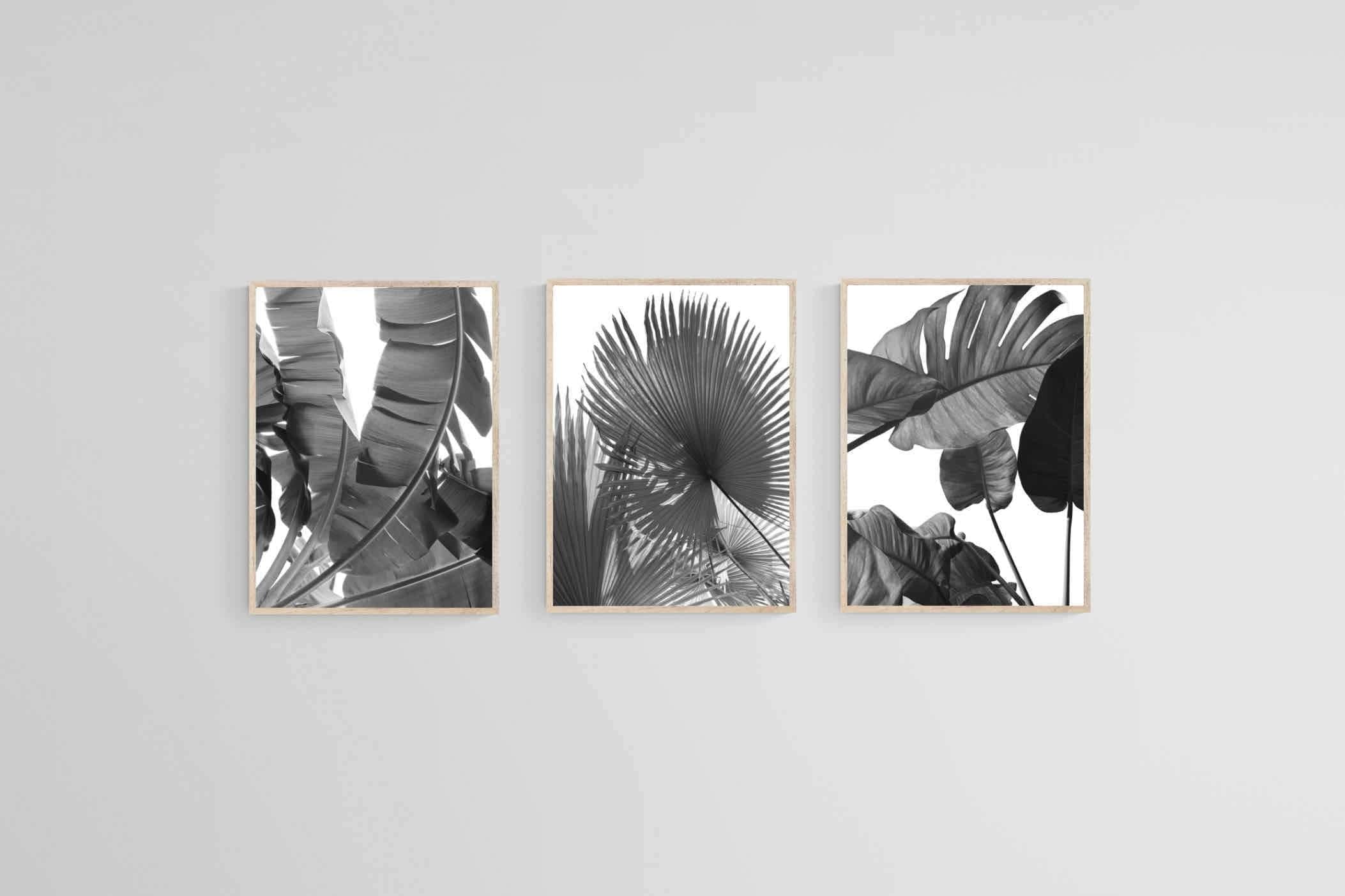 Black & White Foliage Set-Wall_Art-45 x 60cm (x3)-Mounted Canvas-Wood-Pixalot