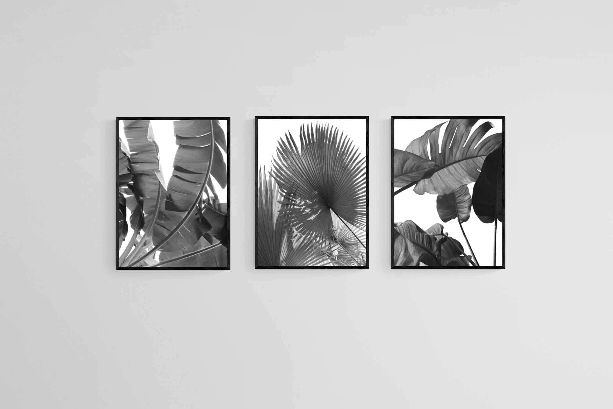 Black & White Foliage Set-Wall_Art-45 x 60cm (x3)-Mounted Canvas-Black-Pixalot