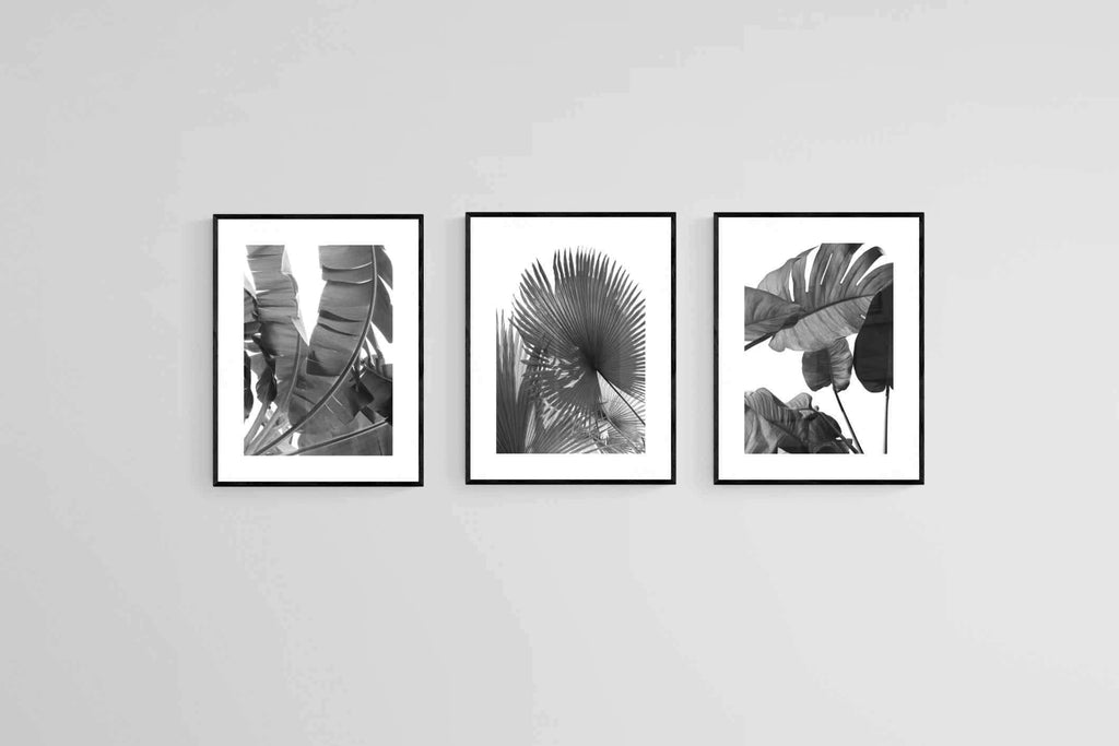 Black & White Foliage Set-Wall_Art-60 x 80cm (x3)-Framed Print-Black-Pixalot