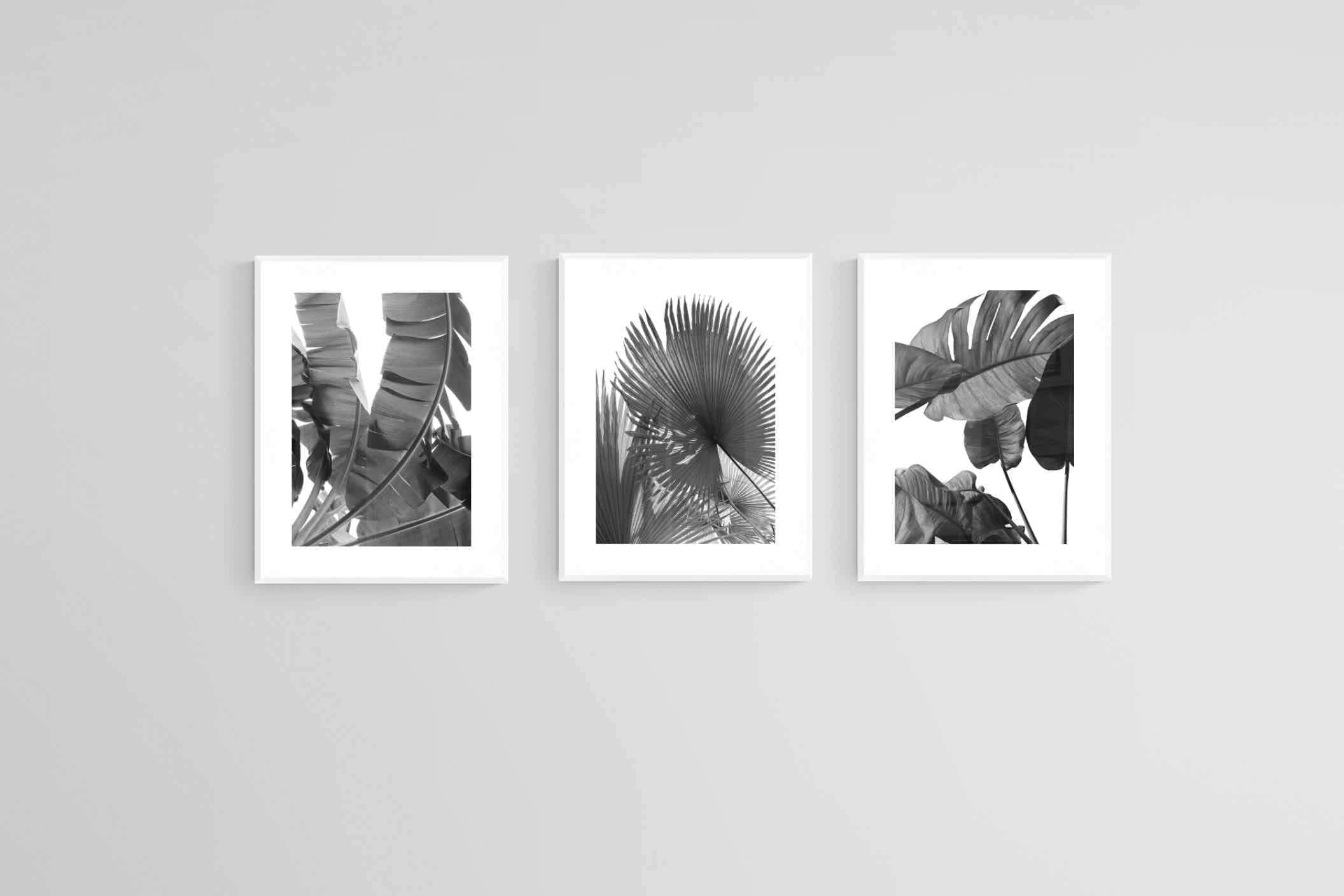 Black & White Foliage Set-Wall_Art-60 x 80cm (x3)-Framed Print-White-Pixalot