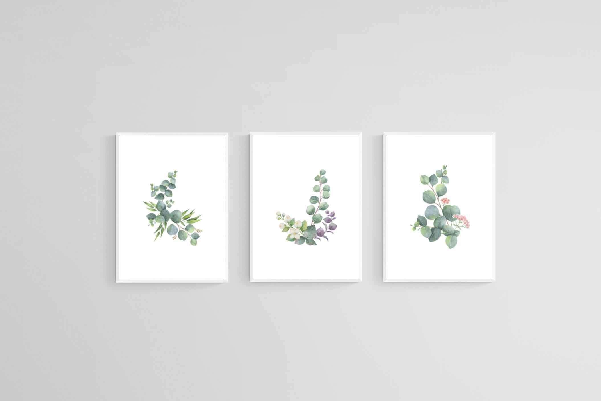Botanical Set-Wall_Art-45 x 60cm (x3)-Mounted Canvas-White-Pixalot