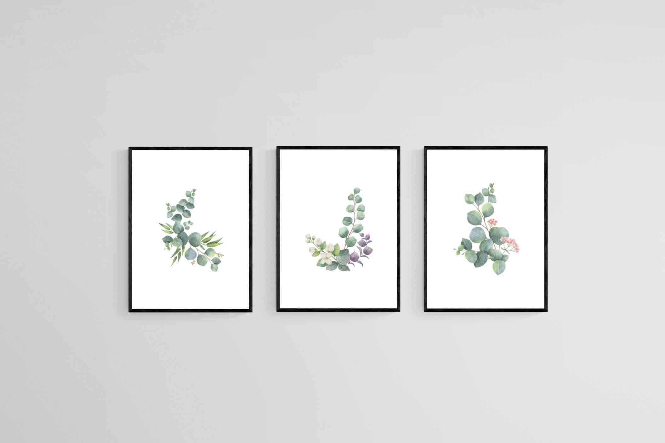 Botanical Set-Wall_Art-45 x 60cm (x3)-Mounted Canvas-Black-Pixalot
