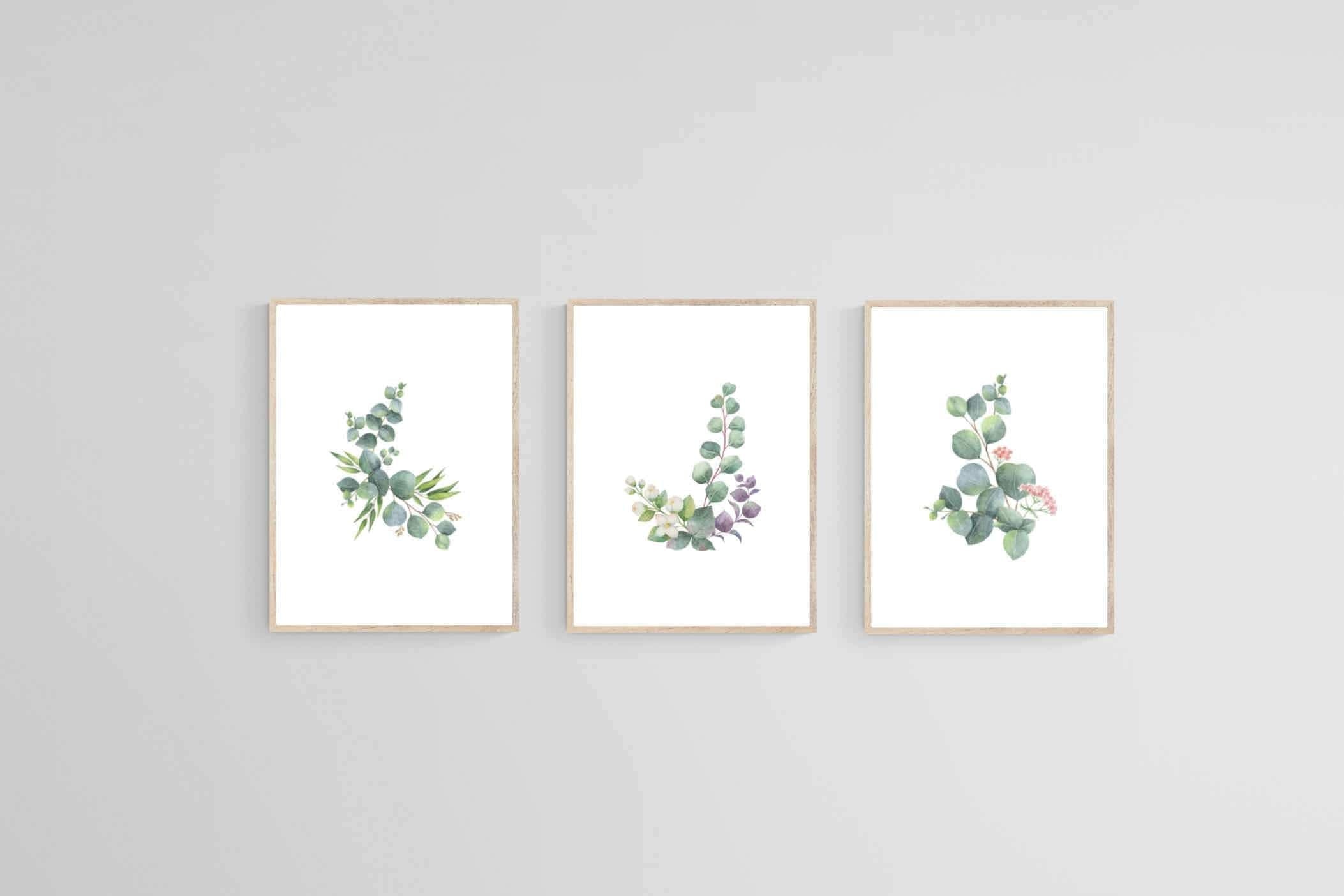 Botanical Set-Wall_Art-45 x 60cm (x3)-Mounted Canvas-Wood-Pixalot