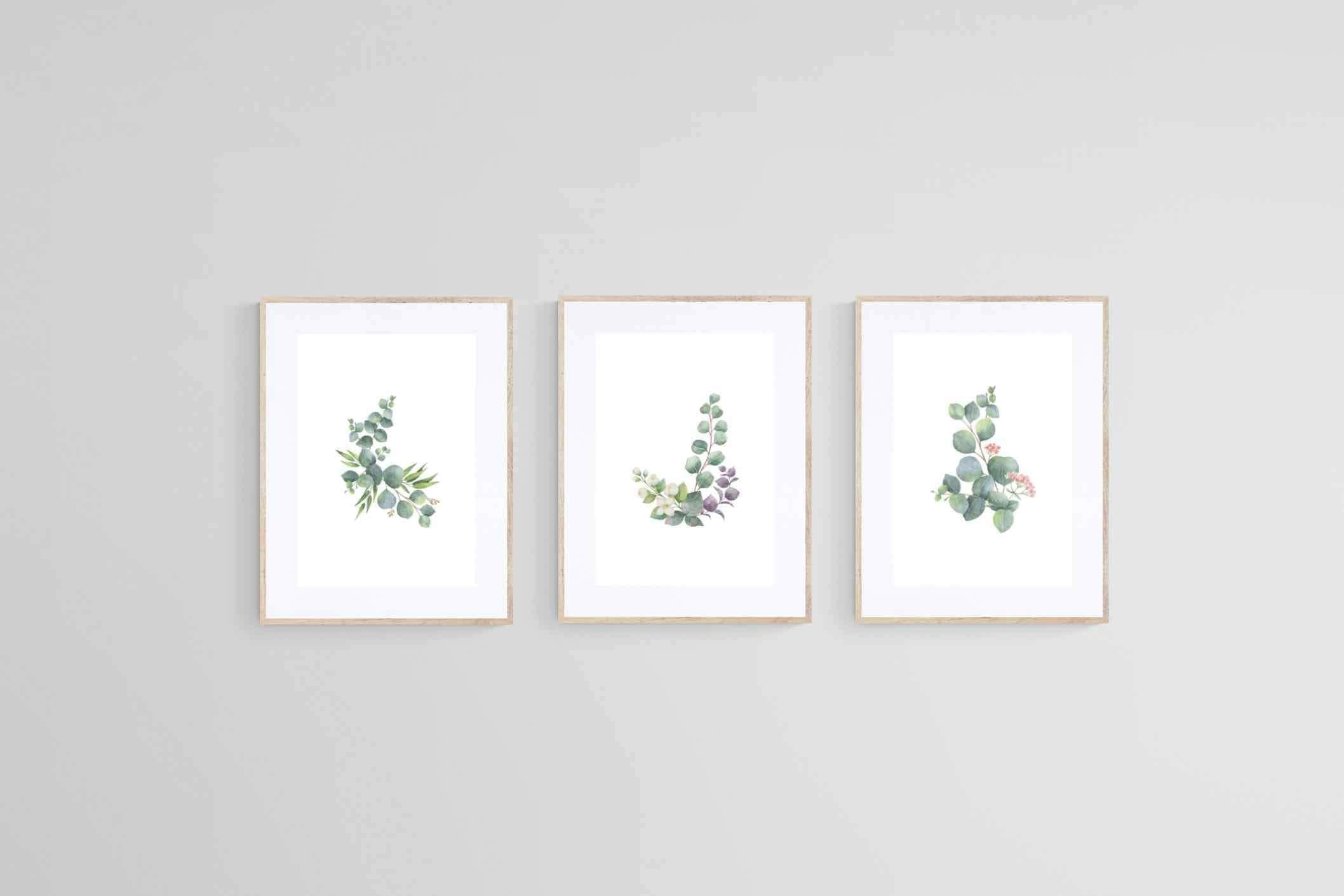 Botanical Set-Wall_Art-60 x 80cm (x3)-Framed Print-Wood-Pixalot