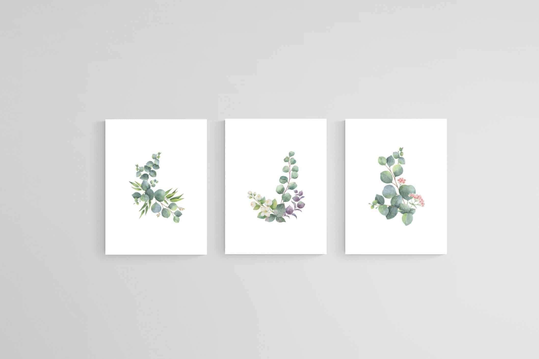Botanical Set-Wall_Art-60 x 80cm (x3)-Mounted Canvas-No Frame-Pixalot