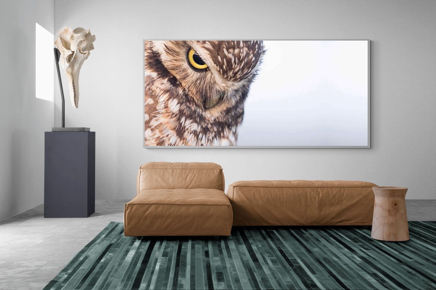Pixalot Burrowing Owl