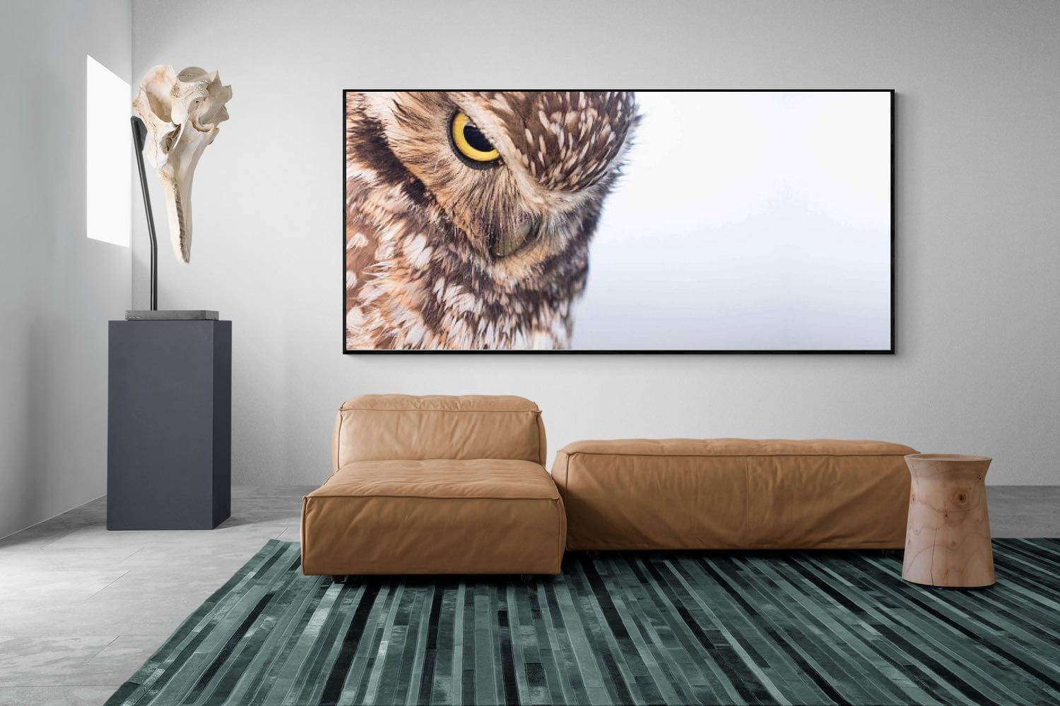 Pixalot Burrowing Owl