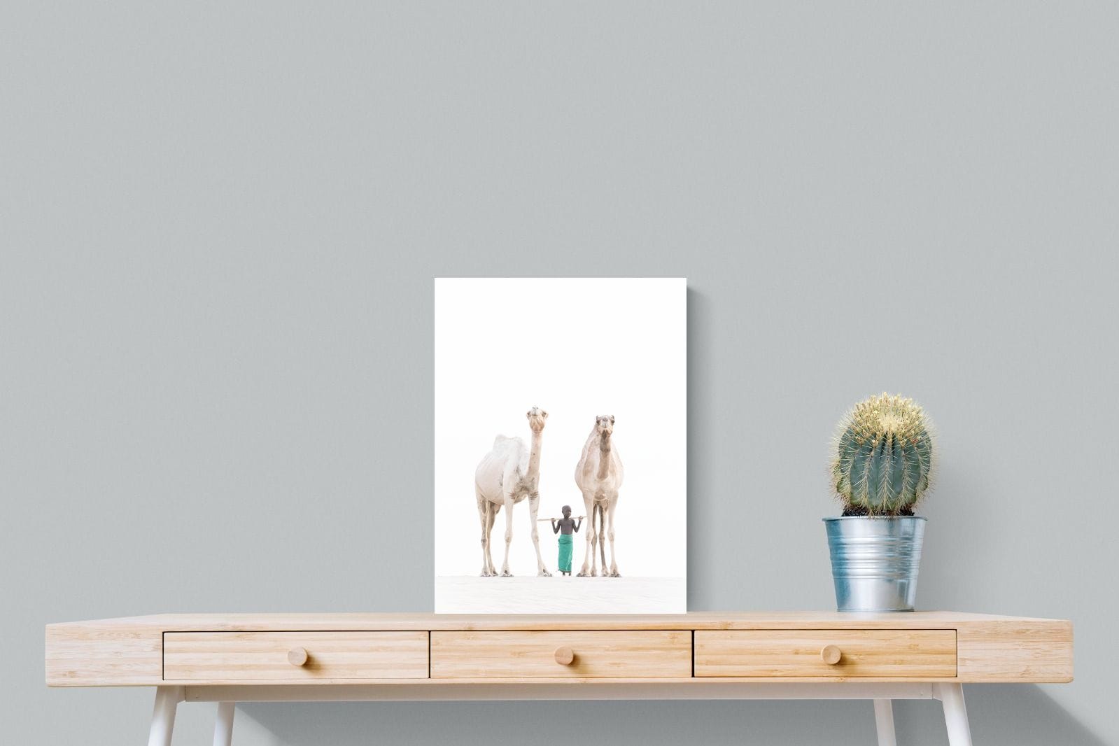 Camel Kid-Wall_Art-45 x 60cm-Mounted Canvas-No Frame-Pixalot