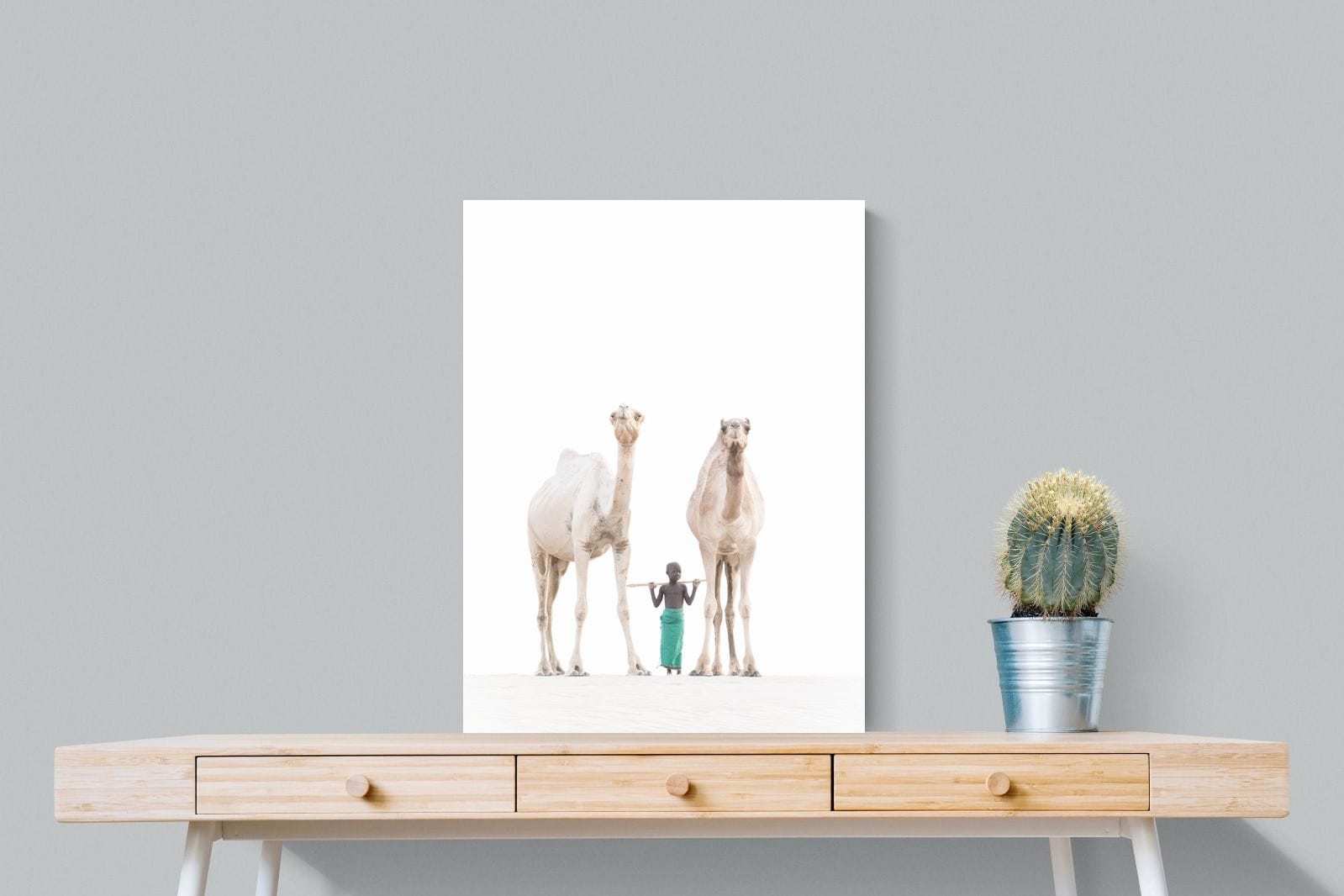 Camel Kid-Wall_Art-60 x 80cm-Mounted Canvas-No Frame-Pixalot