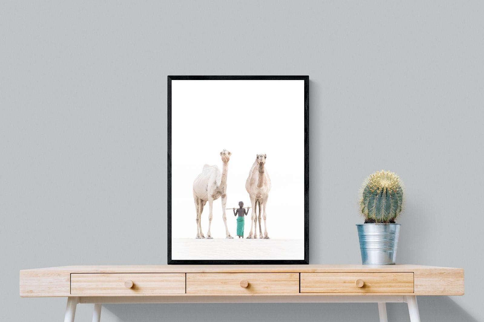 Camel Kid-Wall_Art-60 x 80cm-Mounted Canvas-Black-Pixalot