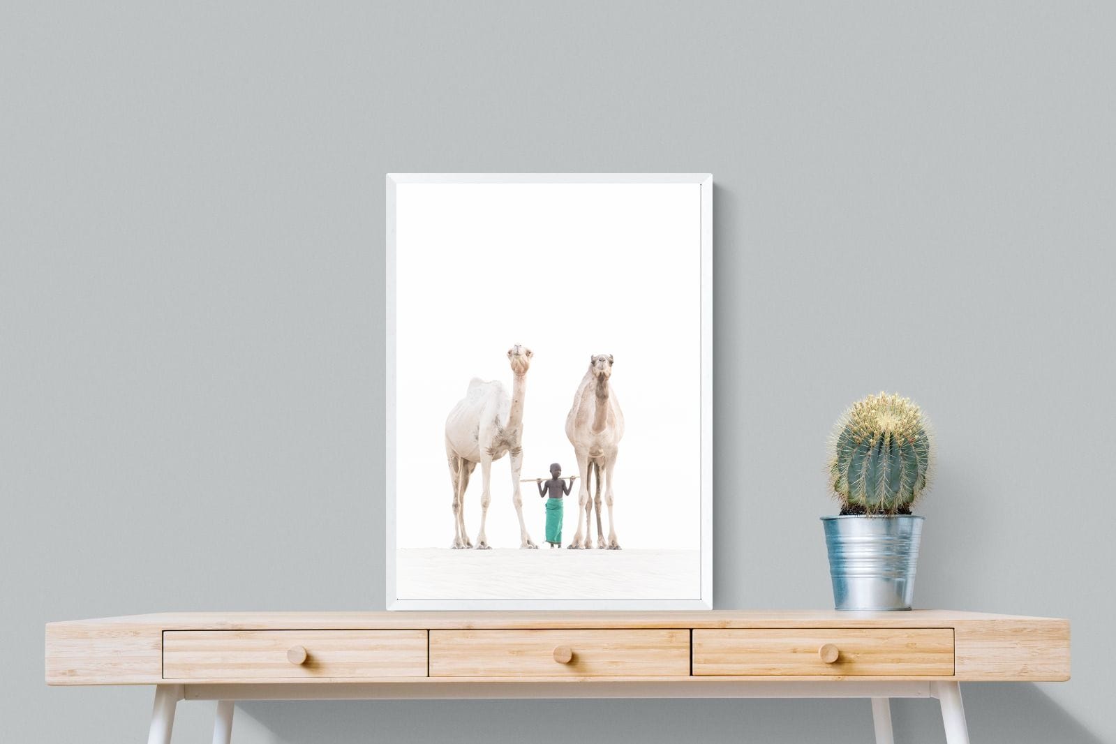 Camel Kid-Wall_Art-60 x 80cm-Mounted Canvas-White-Pixalot