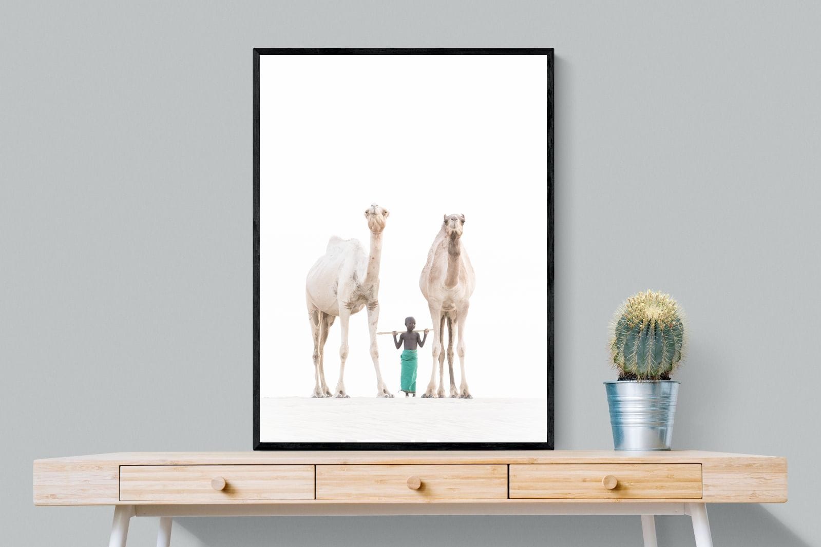 Camel Kid-Wall_Art-75 x 100cm-Mounted Canvas-Black-Pixalot