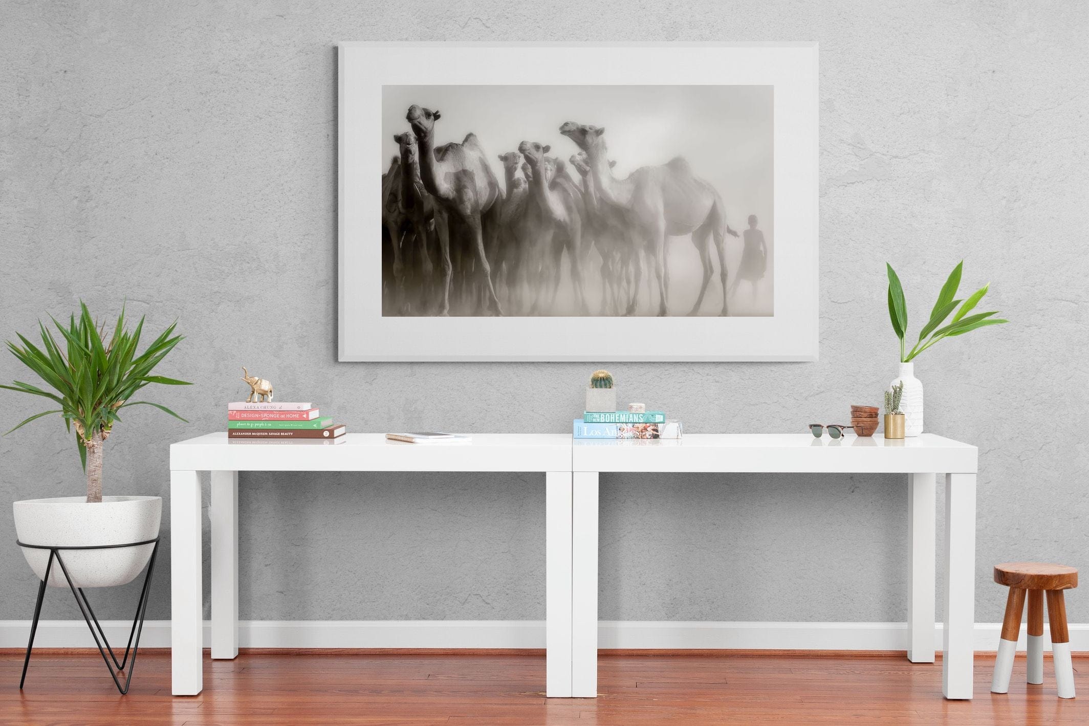 Camels in the Dust-Wall_Art-150 x 100cm-Framed Print-White-Pixalot