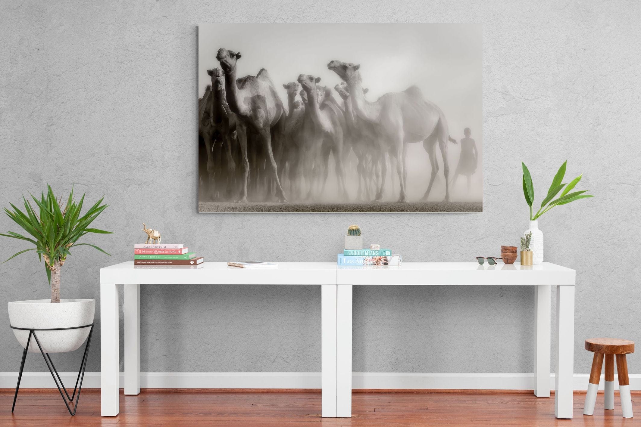 Camels in the Dust-Wall_Art-150 x 100cm-Mounted Canvas-No Frame-Pixalot