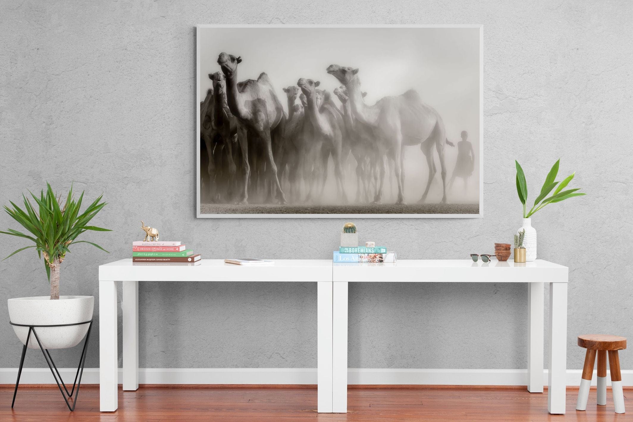 Camels in the Dust-Wall_Art-150 x 100cm-Mounted Canvas-White-Pixalot