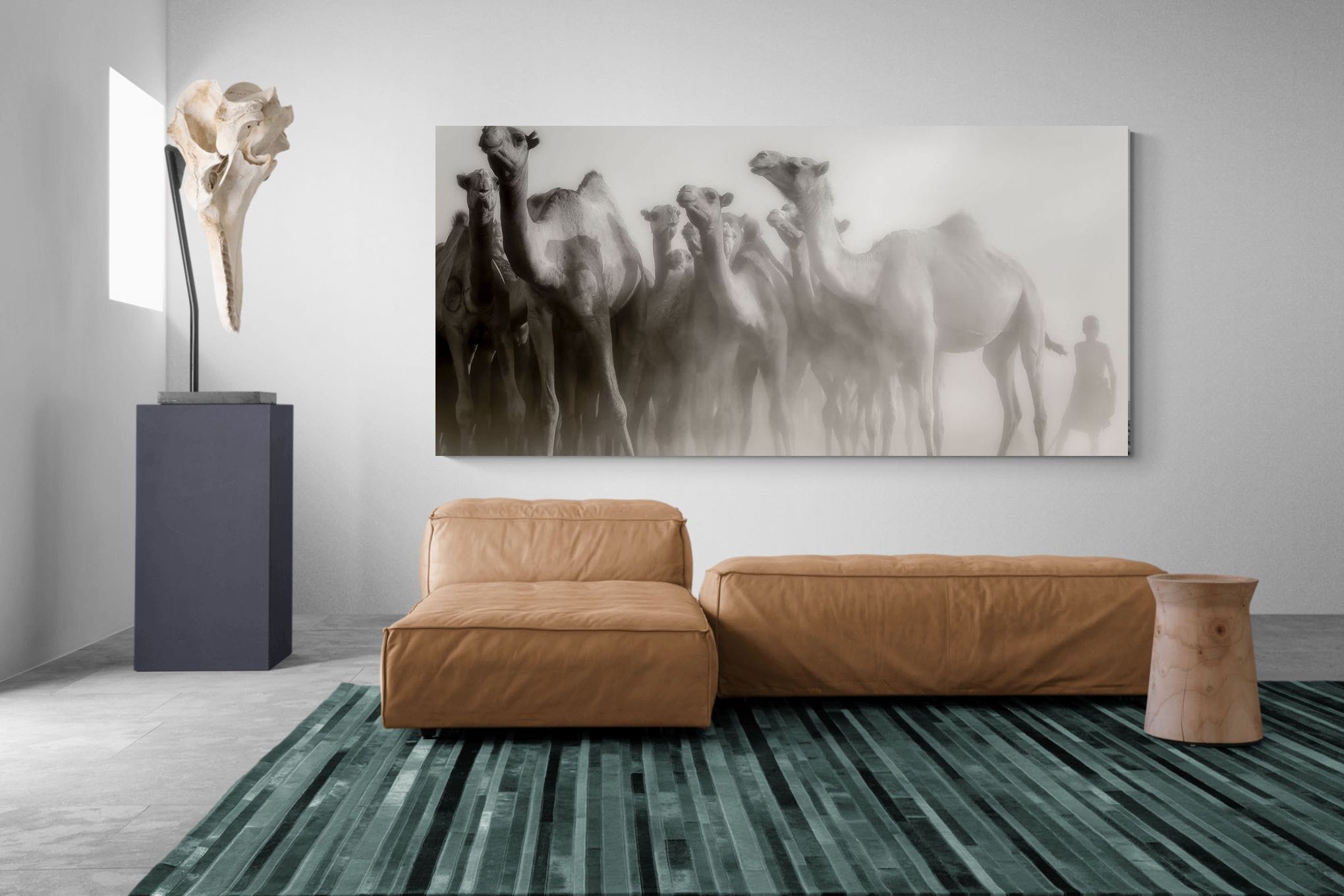 Camels in the Dust-Wall_Art-275 x 130cm-Mounted Canvas-No Frame-Pixalot