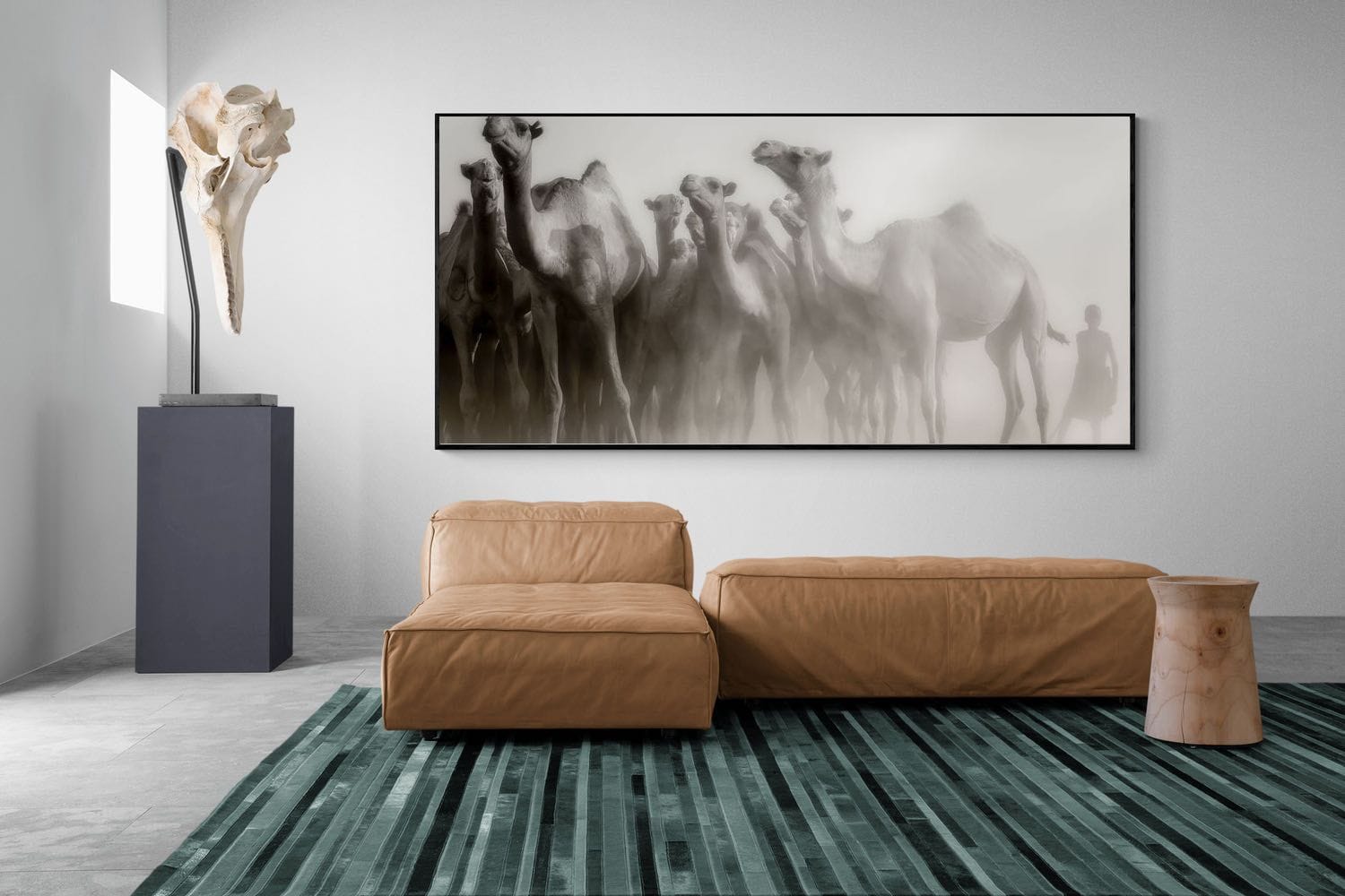 Camels in the Dust-Wall_Art-275 x 130cm-Mounted Canvas-Black-Pixalot