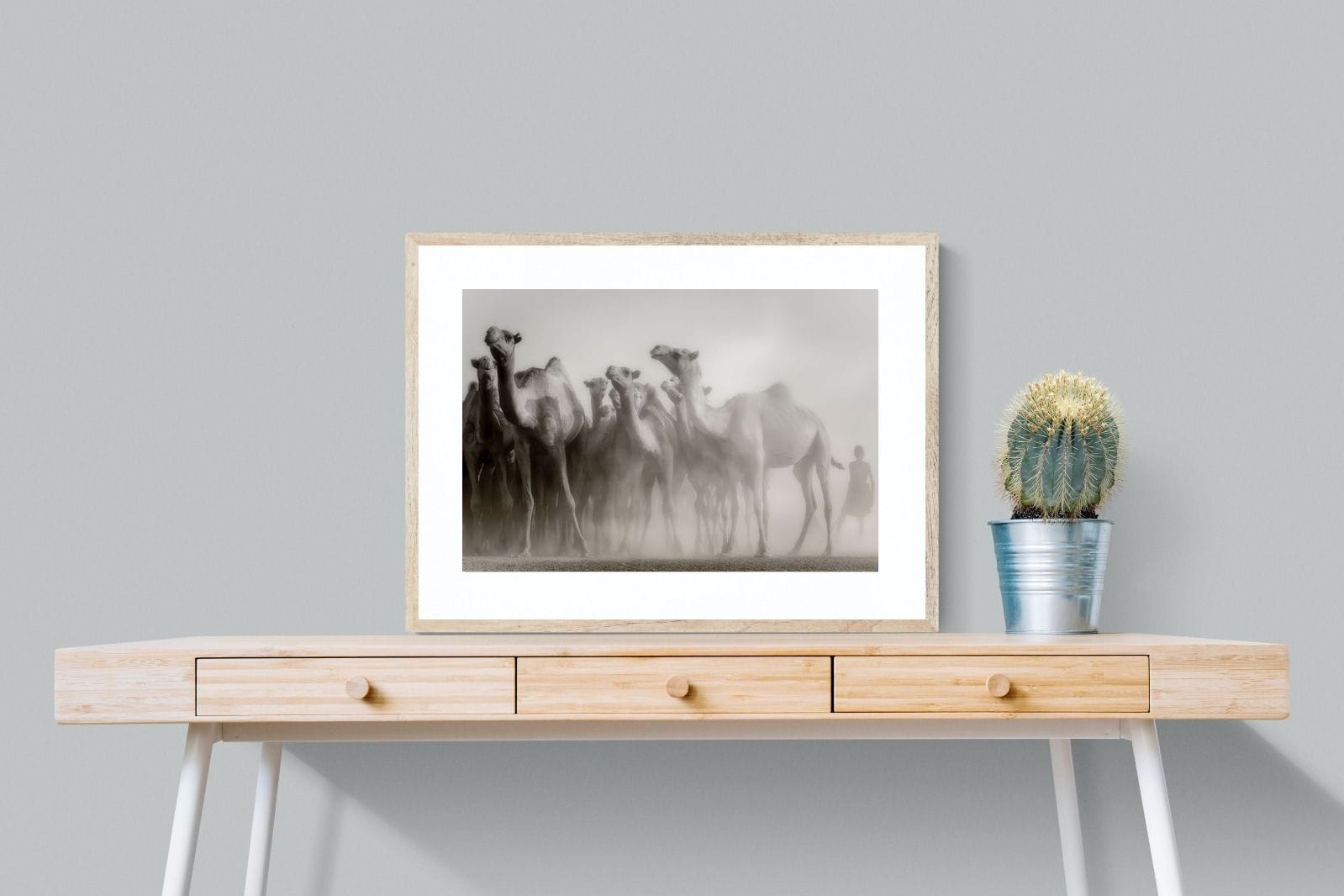 Camels in the Dust-Wall_Art-80 x 60cm-Framed Print-Wood-Pixalot