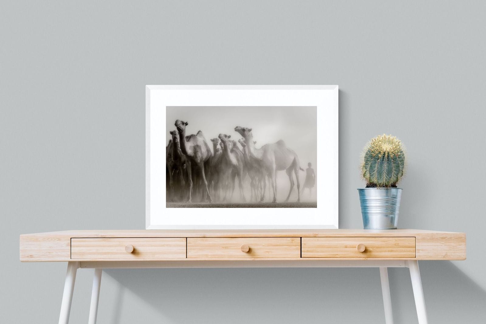 Camels in the Dust-Wall_Art-80 x 60cm-Framed Print-White-Pixalot