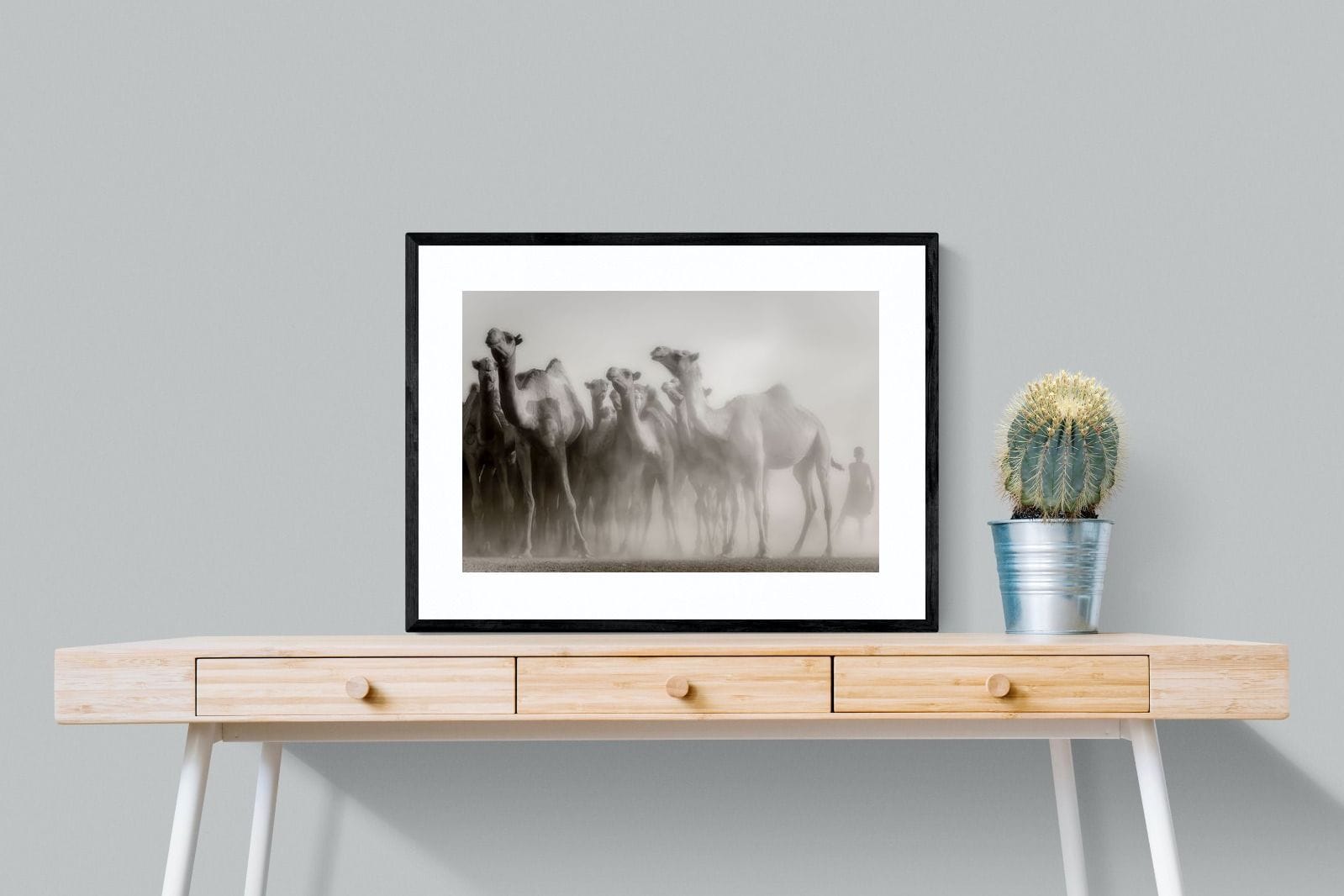 Camels in the Dust-Wall_Art-80 x 60cm-Framed Print-Black-Pixalot