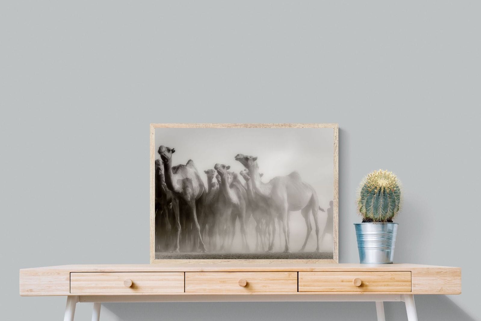 Camels in the Dust-Wall_Art-80 x 60cm-Mounted Canvas-Wood-Pixalot