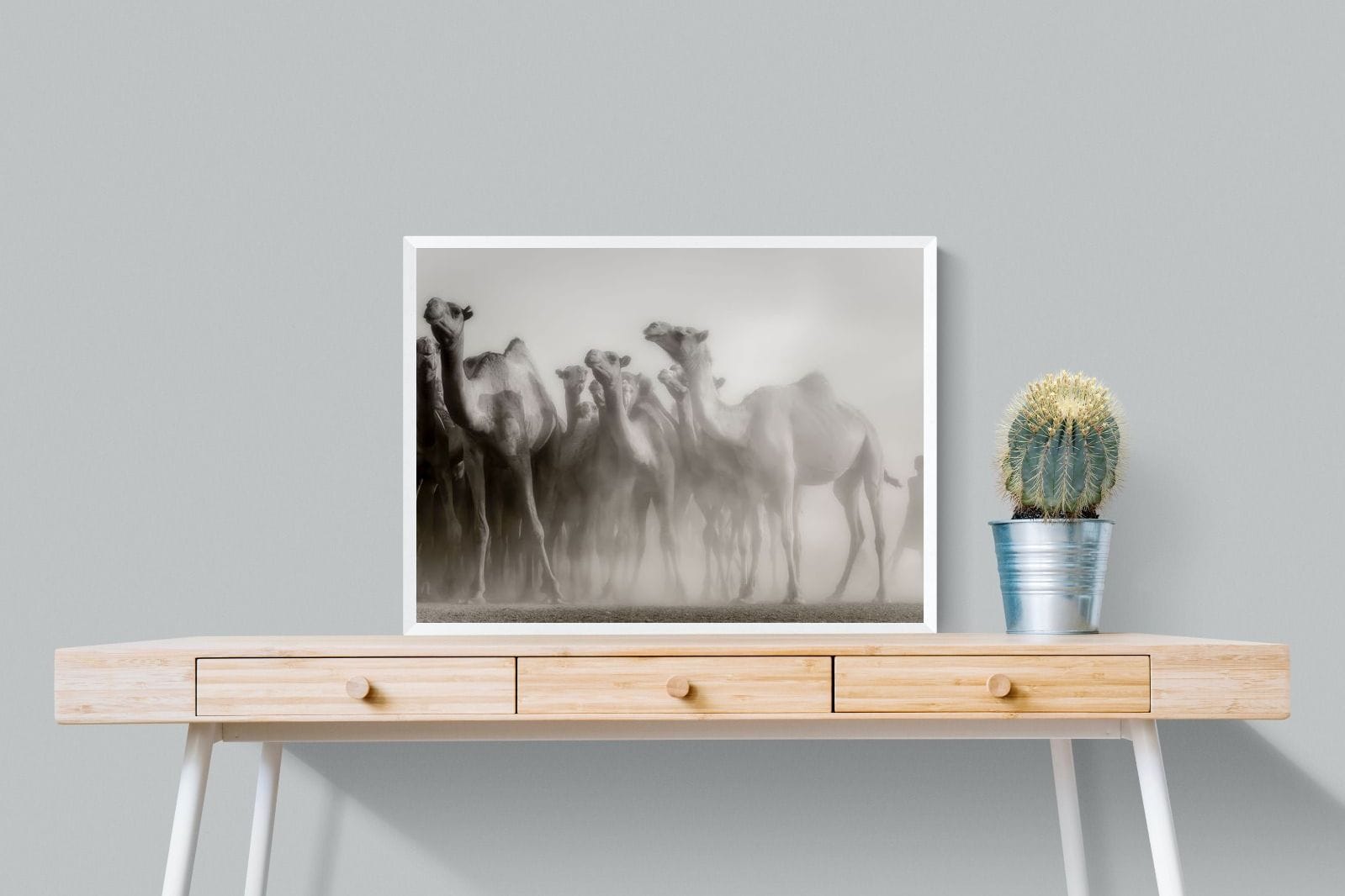 Camels in the Dust-Wall_Art-80 x 60cm-Mounted Canvas-White-Pixalot