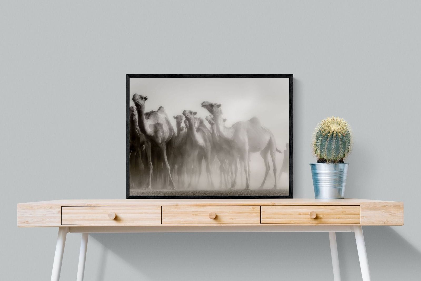 Camels in the Dust-Wall_Art-80 x 60cm-Mounted Canvas-Black-Pixalot