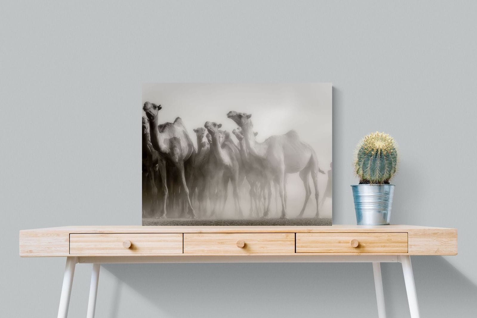 Camels in the Dust-Wall_Art-80 x 60cm-Mounted Canvas-No Frame-Pixalot