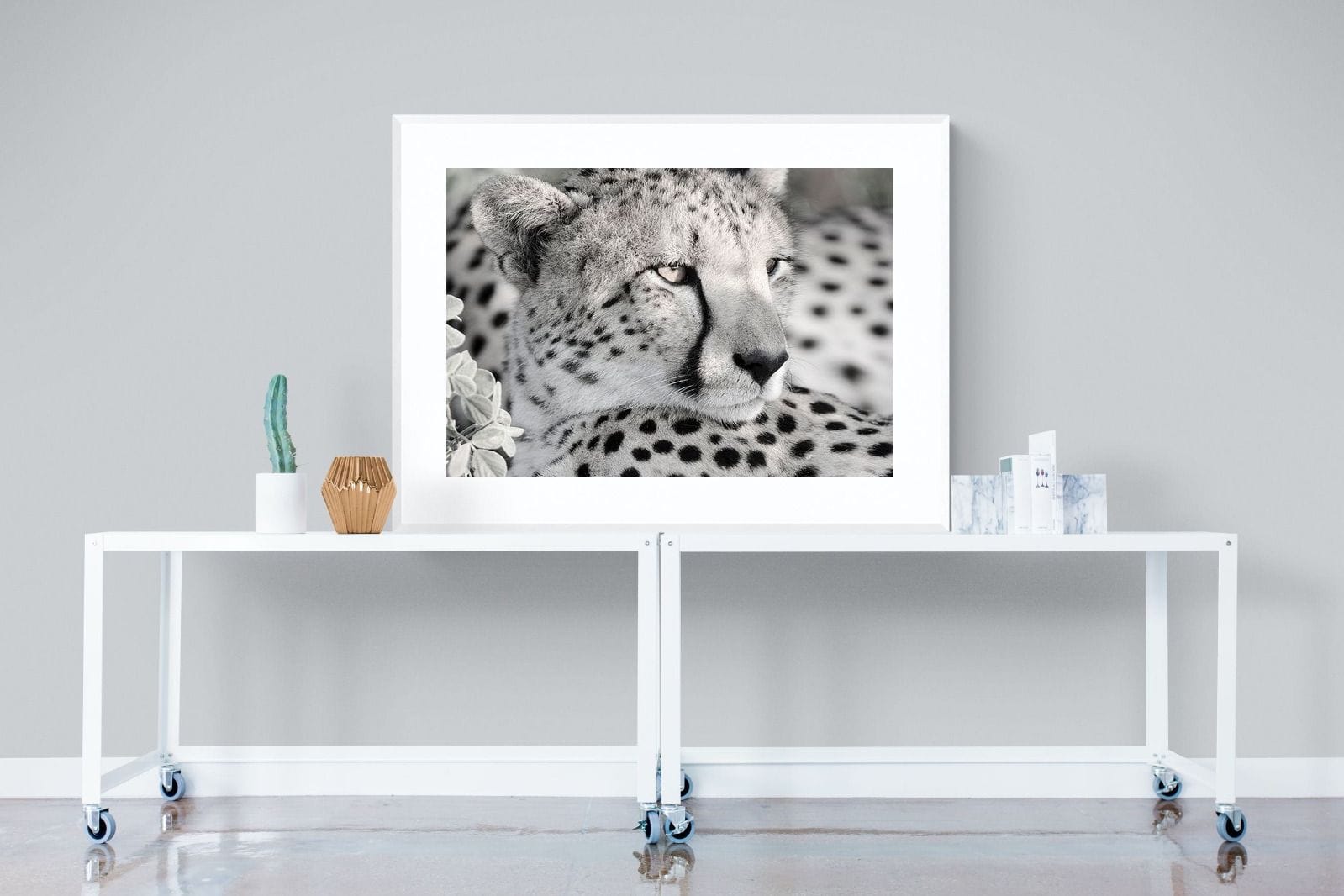 Cheetah Glare-Wall_Art-120 x 90cm-Framed Print-White-Pixalot