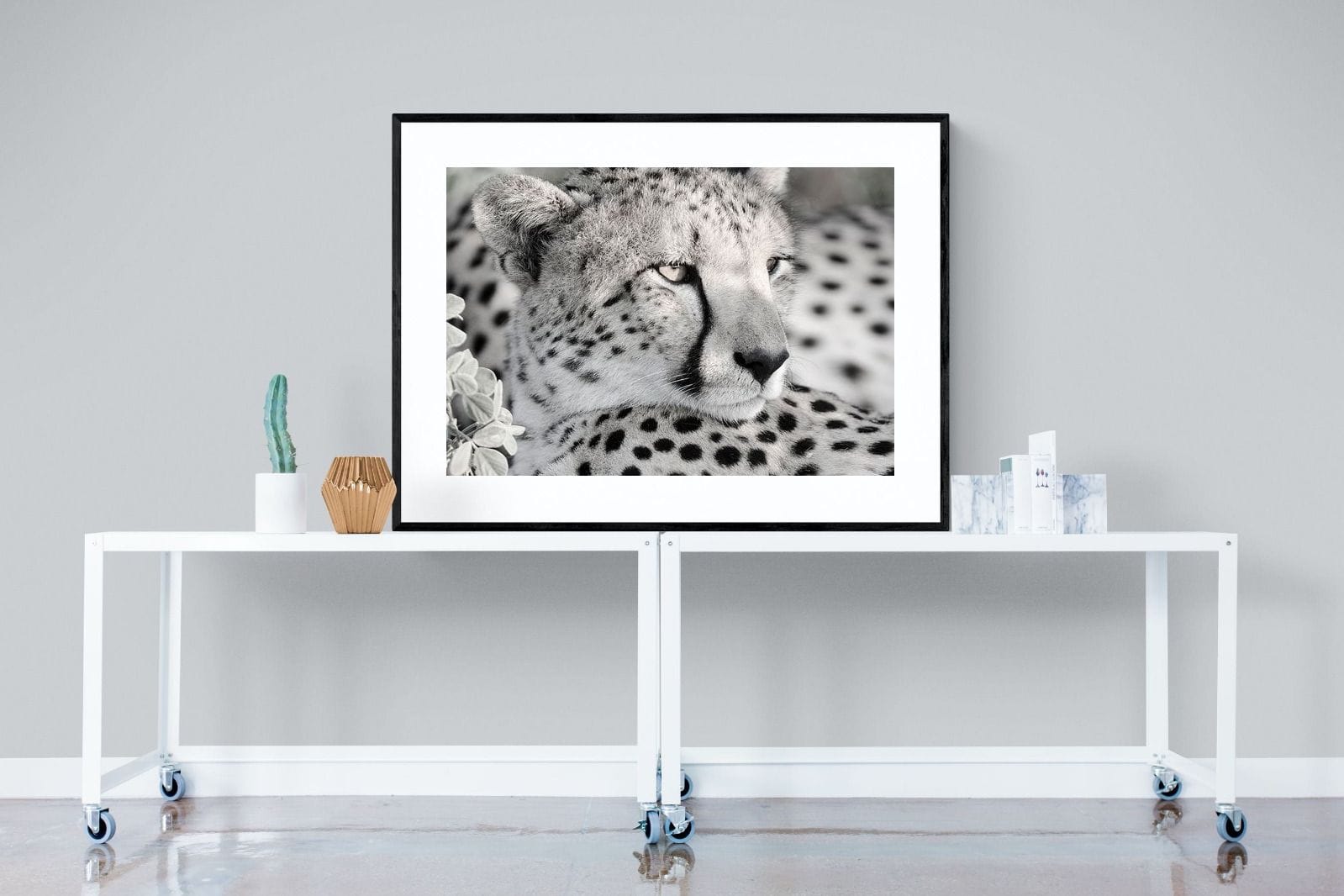 Cheetah Glare-Wall_Art-120 x 90cm-Framed Print-Black-Pixalot