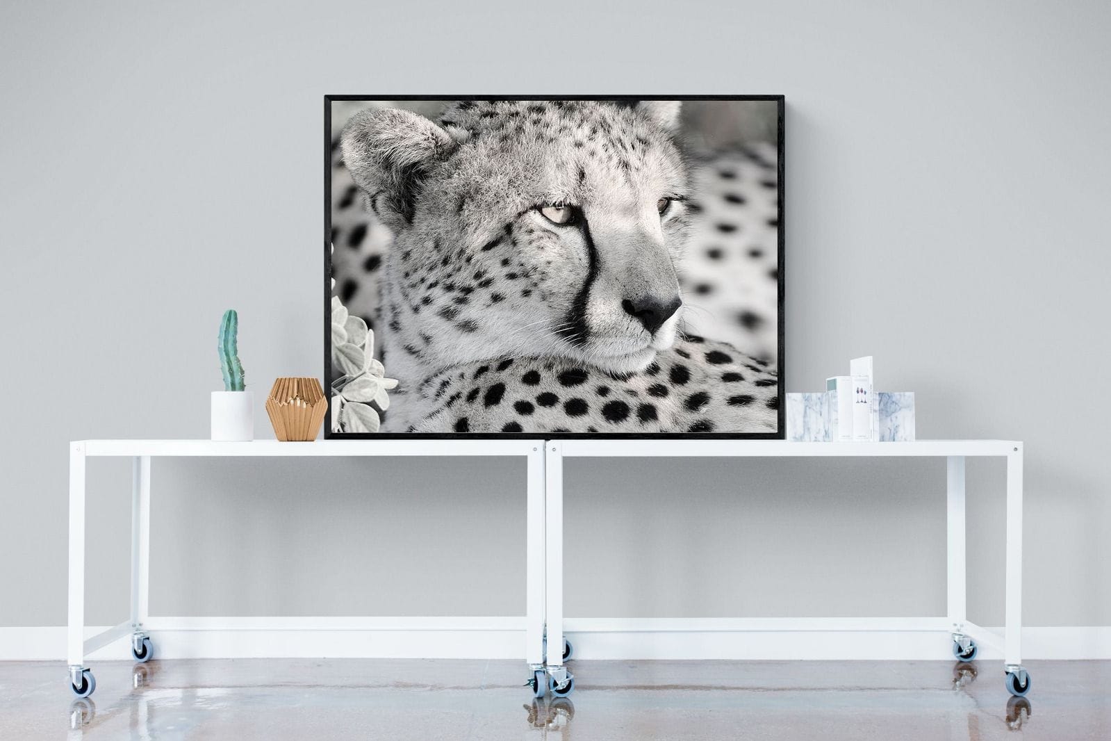 Cheetah Glare-Wall_Art-120 x 90cm-Mounted Canvas-Black-Pixalot