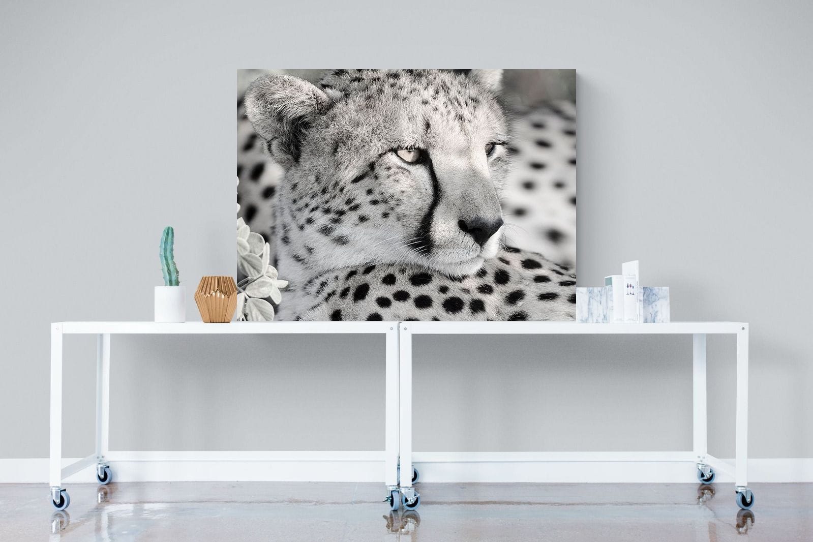 Cheetah Glare-Wall_Art-120 x 90cm-Mounted Canvas-No Frame-Pixalot