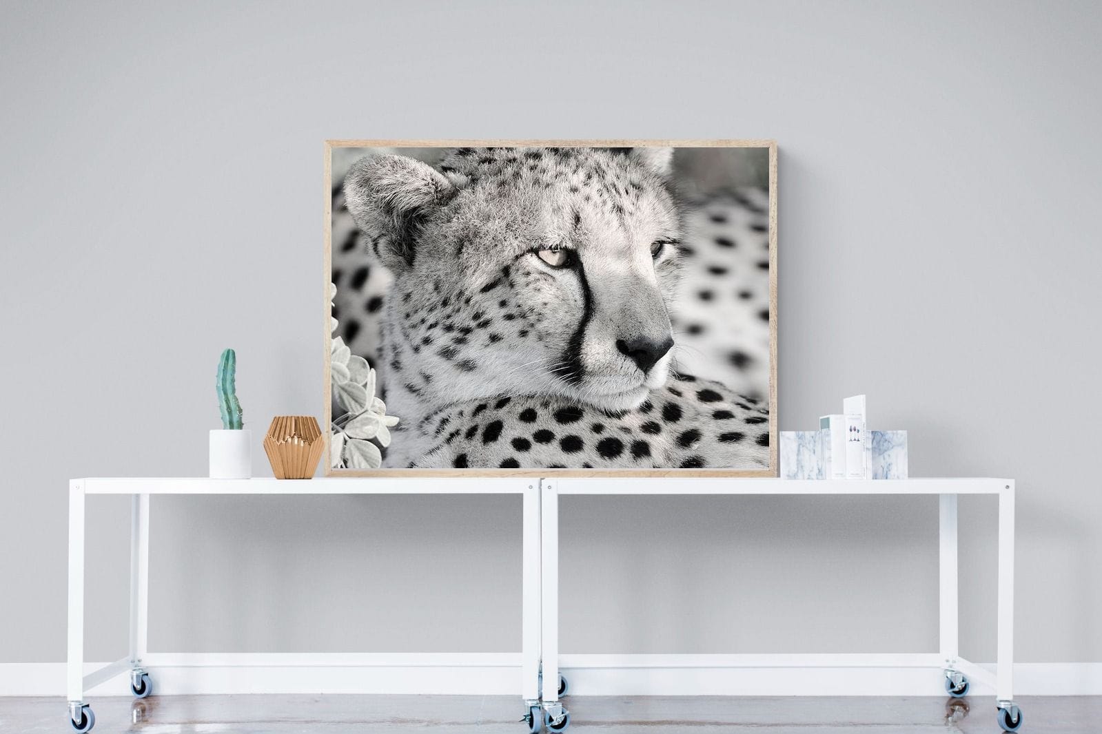 Cheetah Glare-Wall_Art-120 x 90cm-Mounted Canvas-Wood-Pixalot