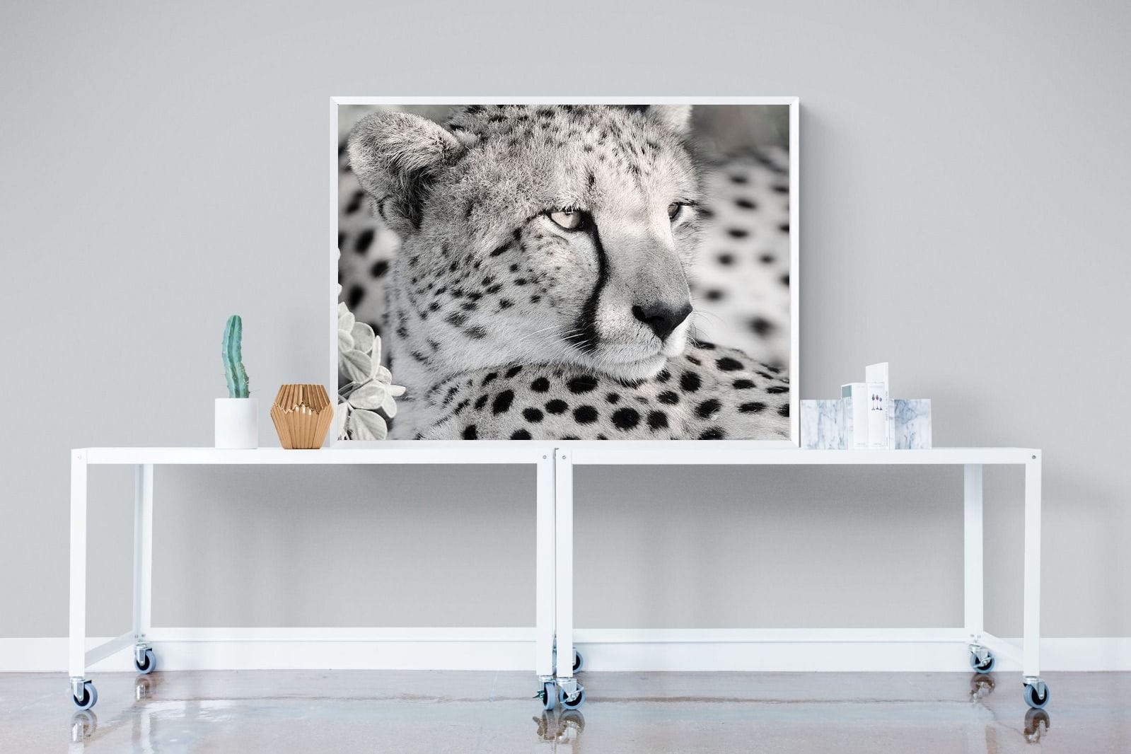 Cheetah Glare-Wall_Art-120 x 90cm-Mounted Canvas-White-Pixalot