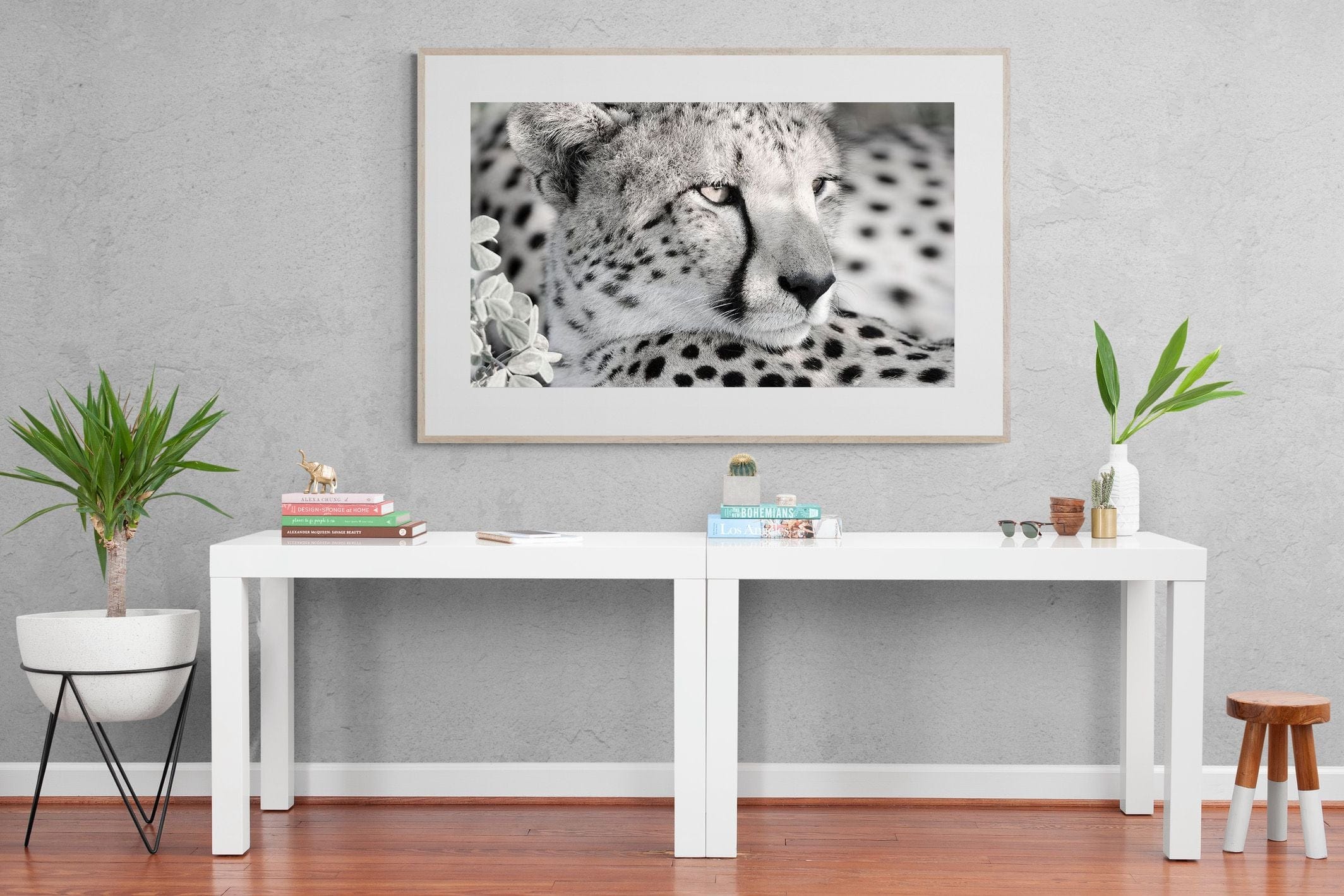 Cheetah Glare-Wall_Art-150 x 100cm-Framed Print-Wood-Pixalot