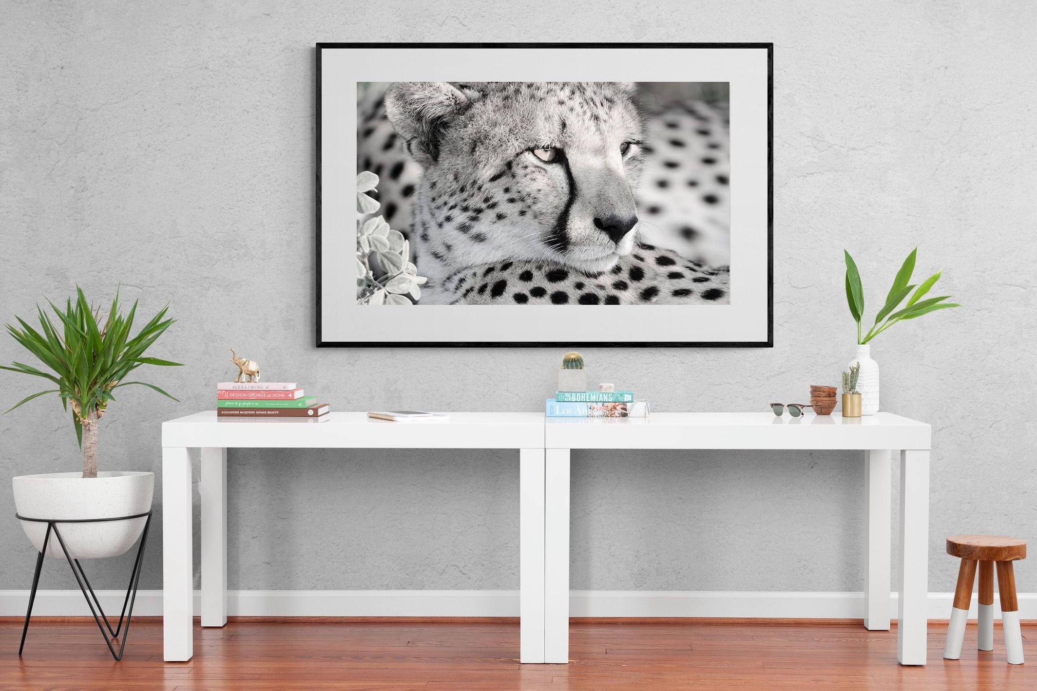 Cheetah Glare-Wall_Art-150 x 100cm-Framed Print-Black-Pixalot