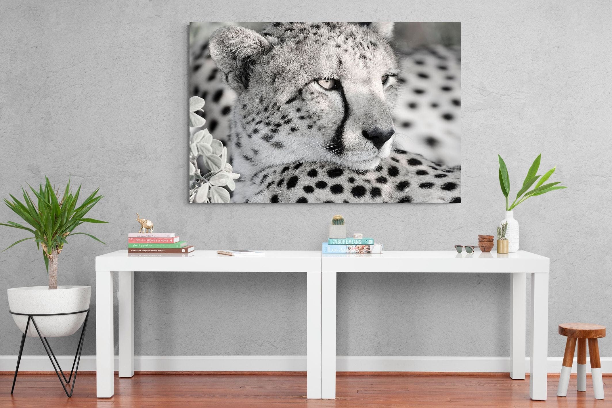 Cheetah Glare-Wall_Art-150 x 100cm-Mounted Canvas-No Frame-Pixalot