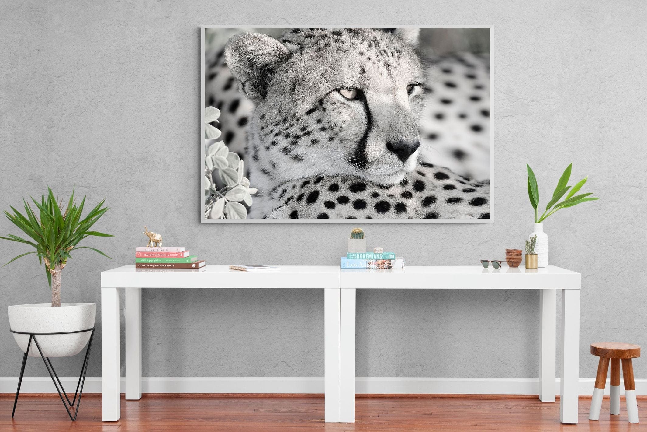 Cheetah Glare-Wall_Art-150 x 100cm-Mounted Canvas-White-Pixalot